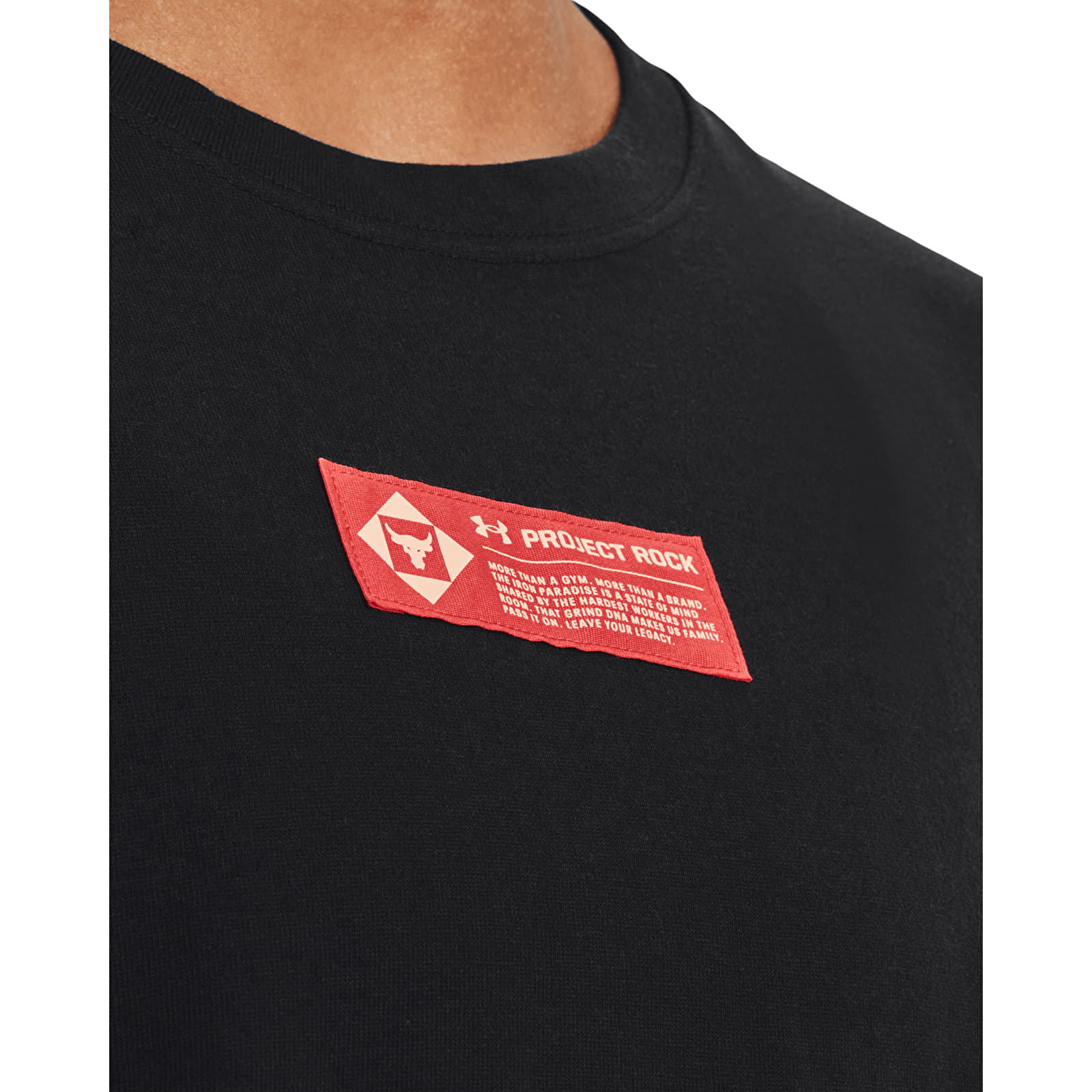 T-Shirts Under Armour Project Rock Globe Ss Black