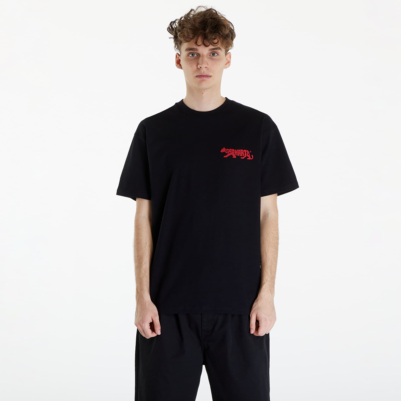 Trička Carhartt WIP Short Sleeve Rocky T-Shirt UNISEX Black