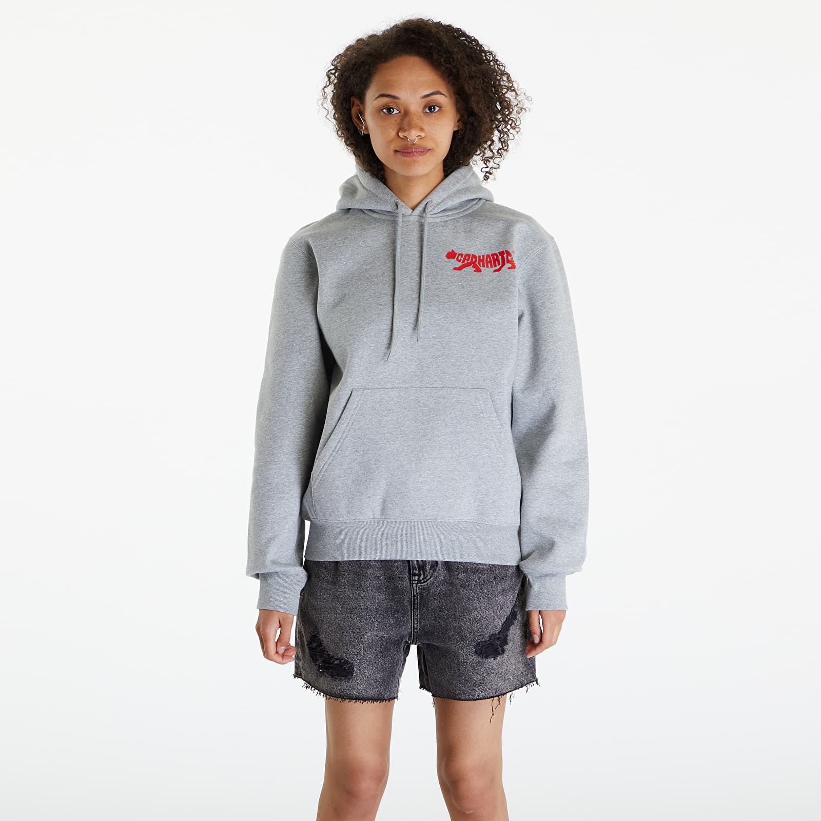Mikiny Carhartt WIP Rocky Script Hoodie UNISEX Grey Heather