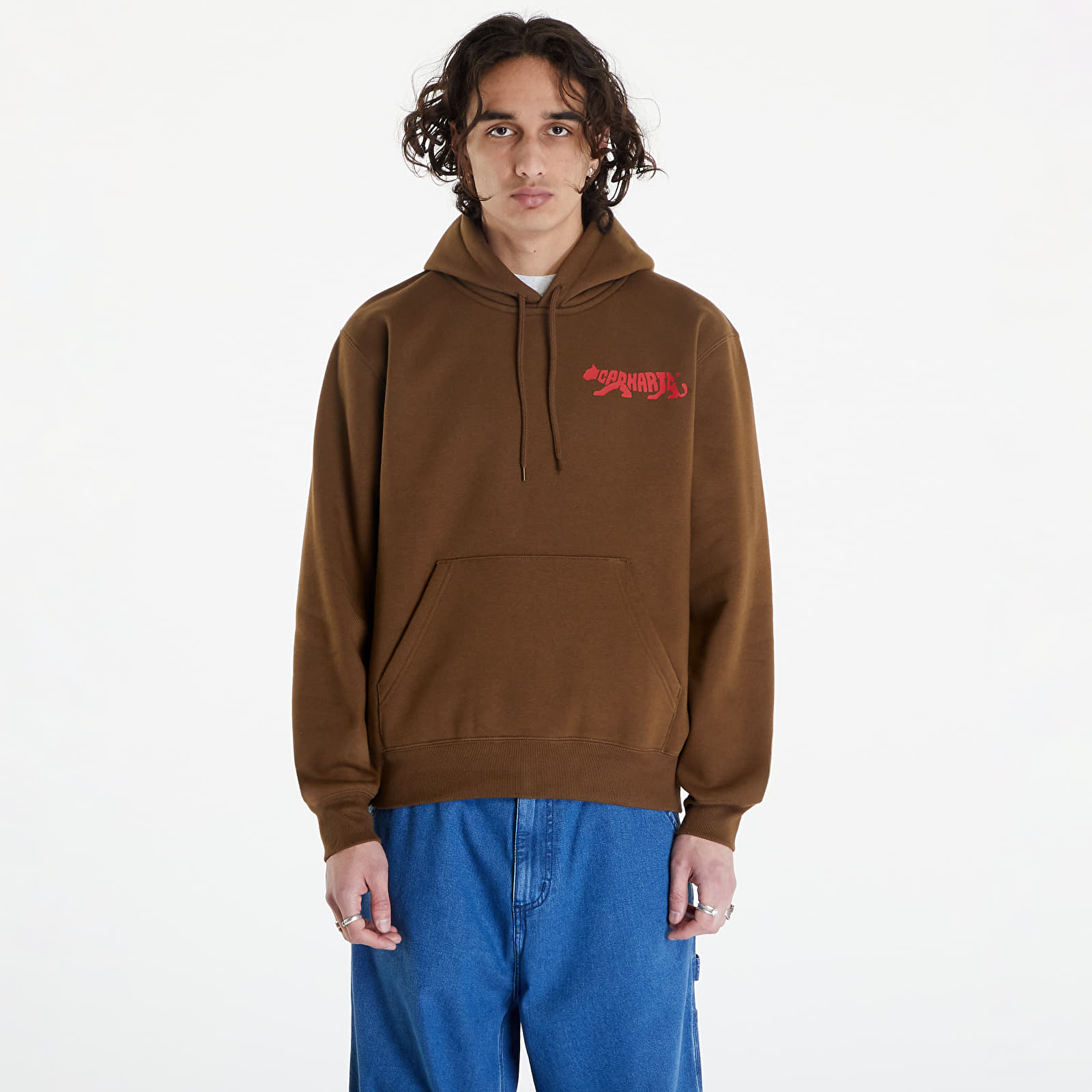 Мужские худи Carhartt WIP Rocky Script Hoodie UNISEX Lumber