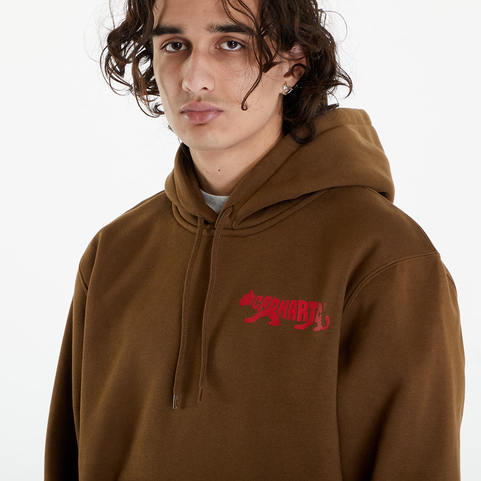 Мужские худи Carhartt WIP Rocky Script Hoodie UNISEX Lumber