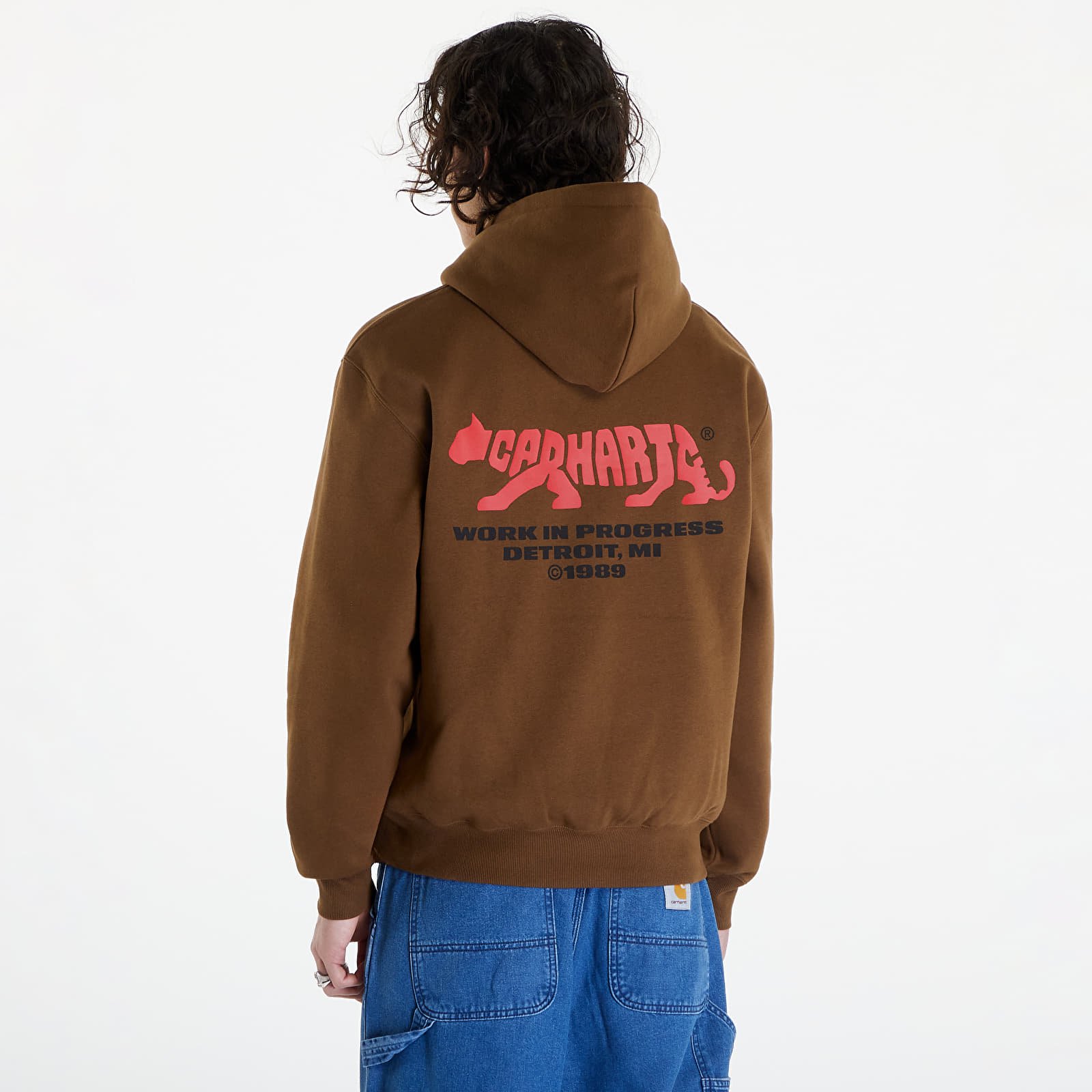 Мужские худи Carhartt WIP Rocky Script Hoodie UNISEX Lumber
