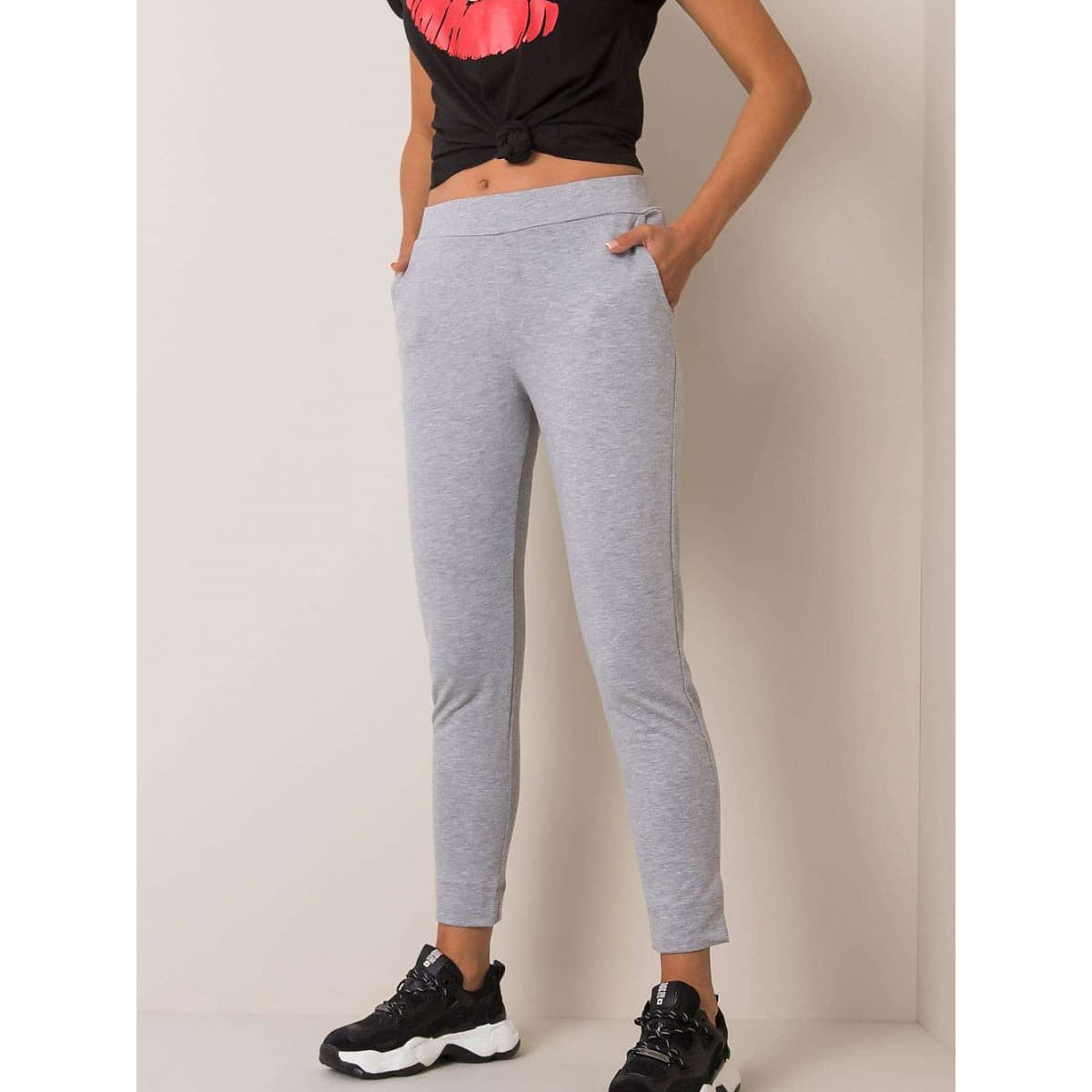 Sweatpants BFG model 166241 Grey