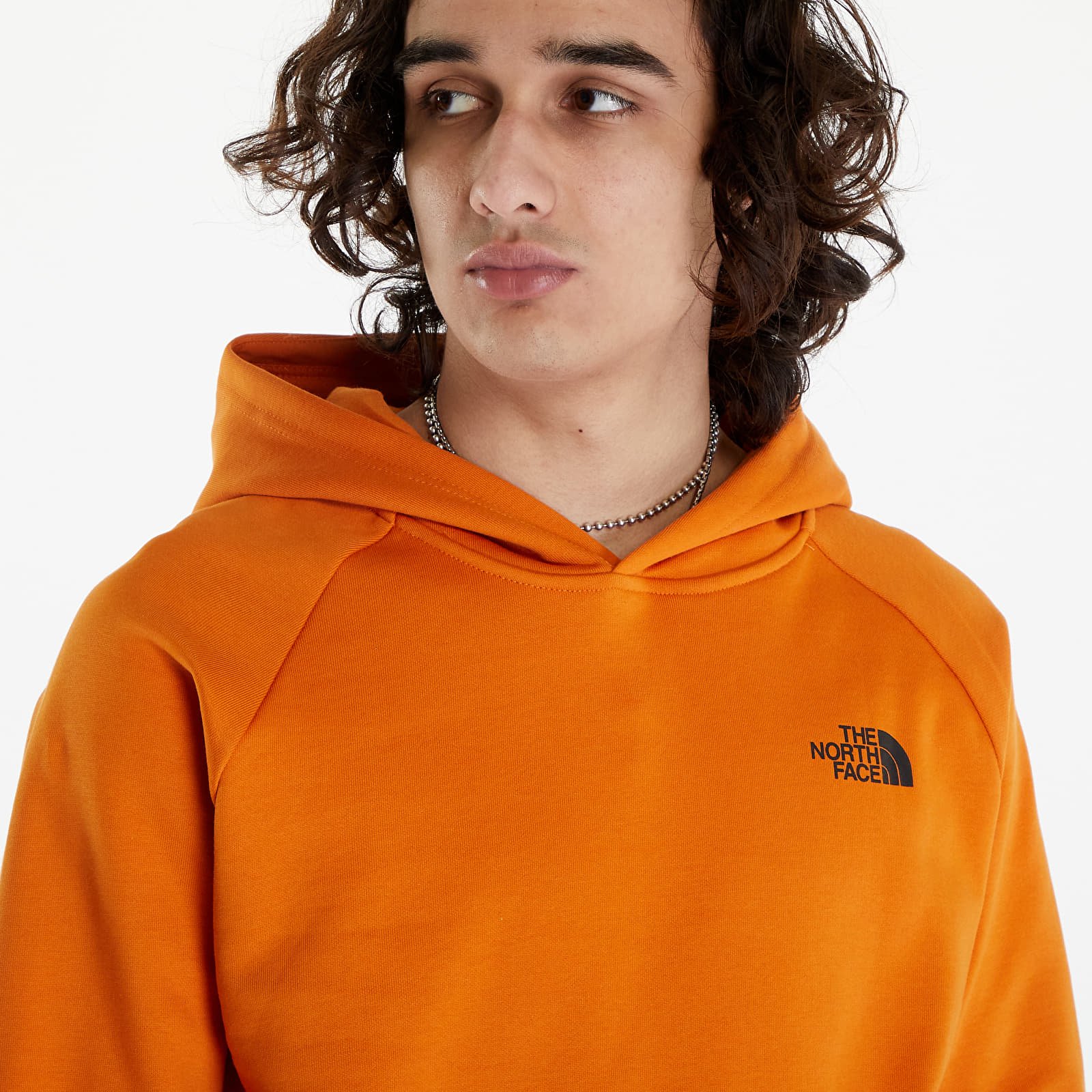 Hoodies en truien The North Face Raglan Red Box Hoodie Desert Rust