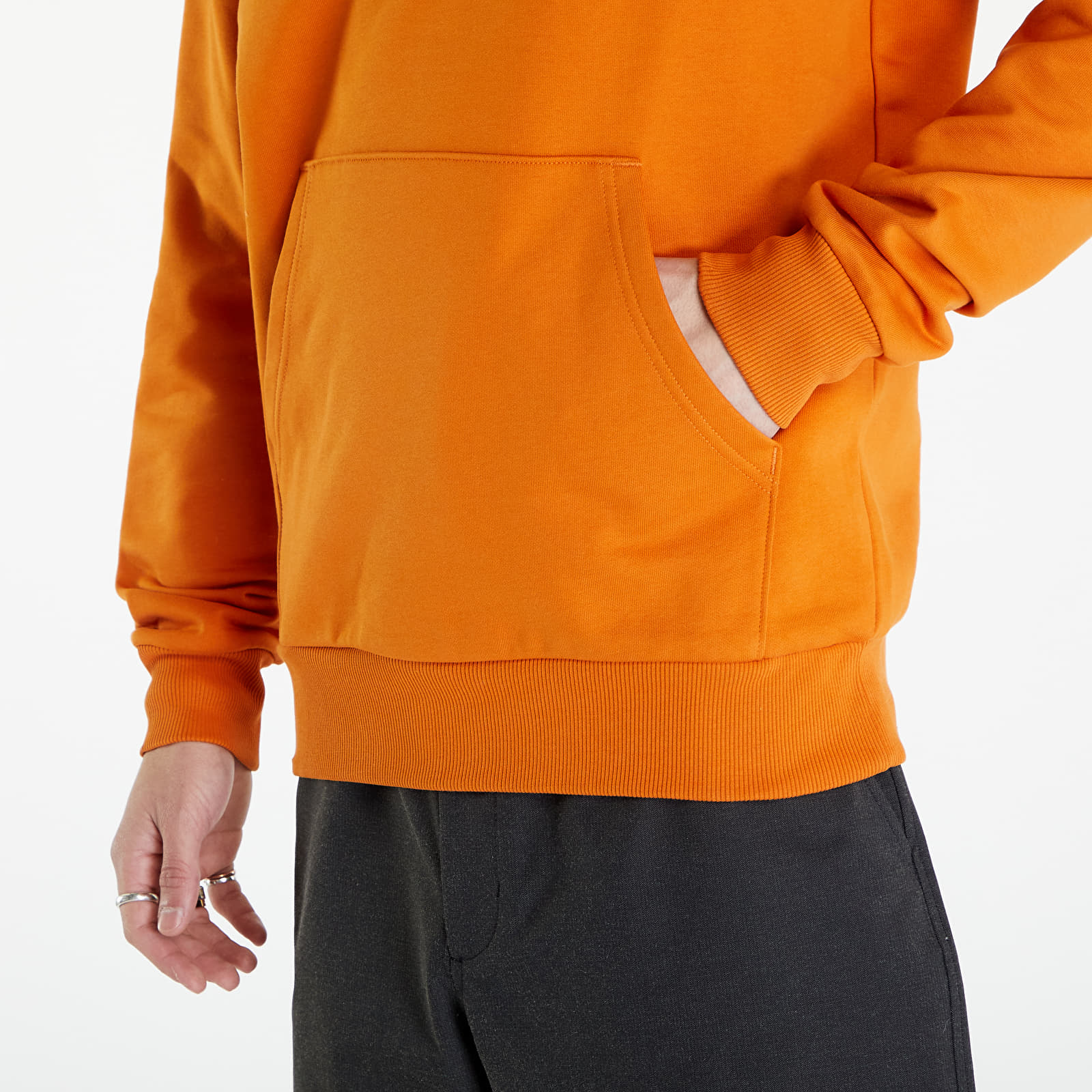 Hoodies en truien The North Face Raglan Red Box Hoodie Desert Rust