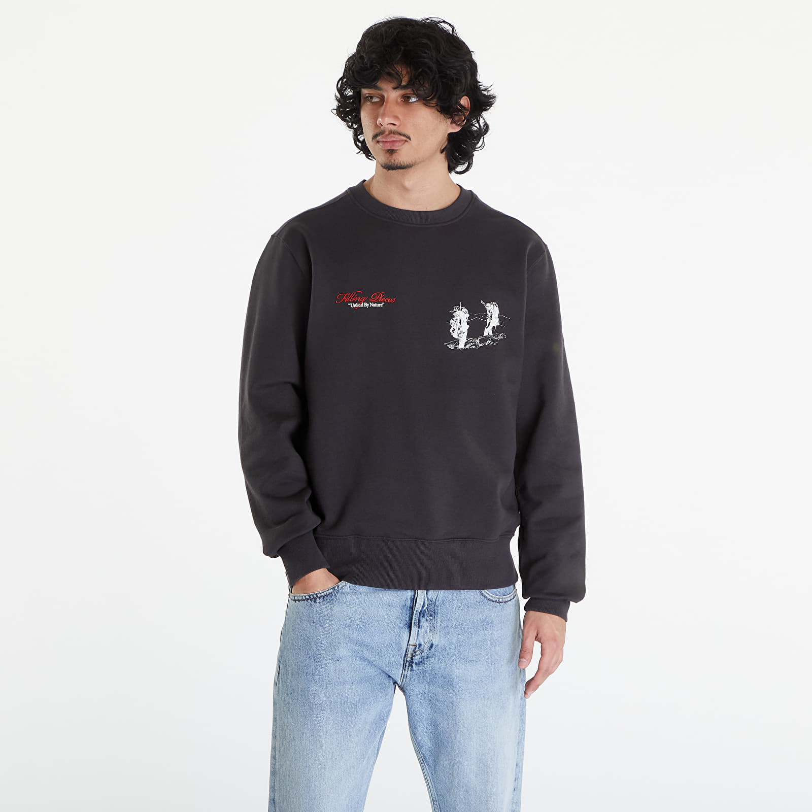 Kapuutsikud ja kampsunid Filling Pieces United by Nature Sweatshirt UNISEX Pavement
