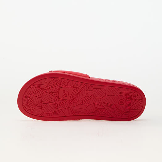 RIPNDIP Lord Nermal Slides