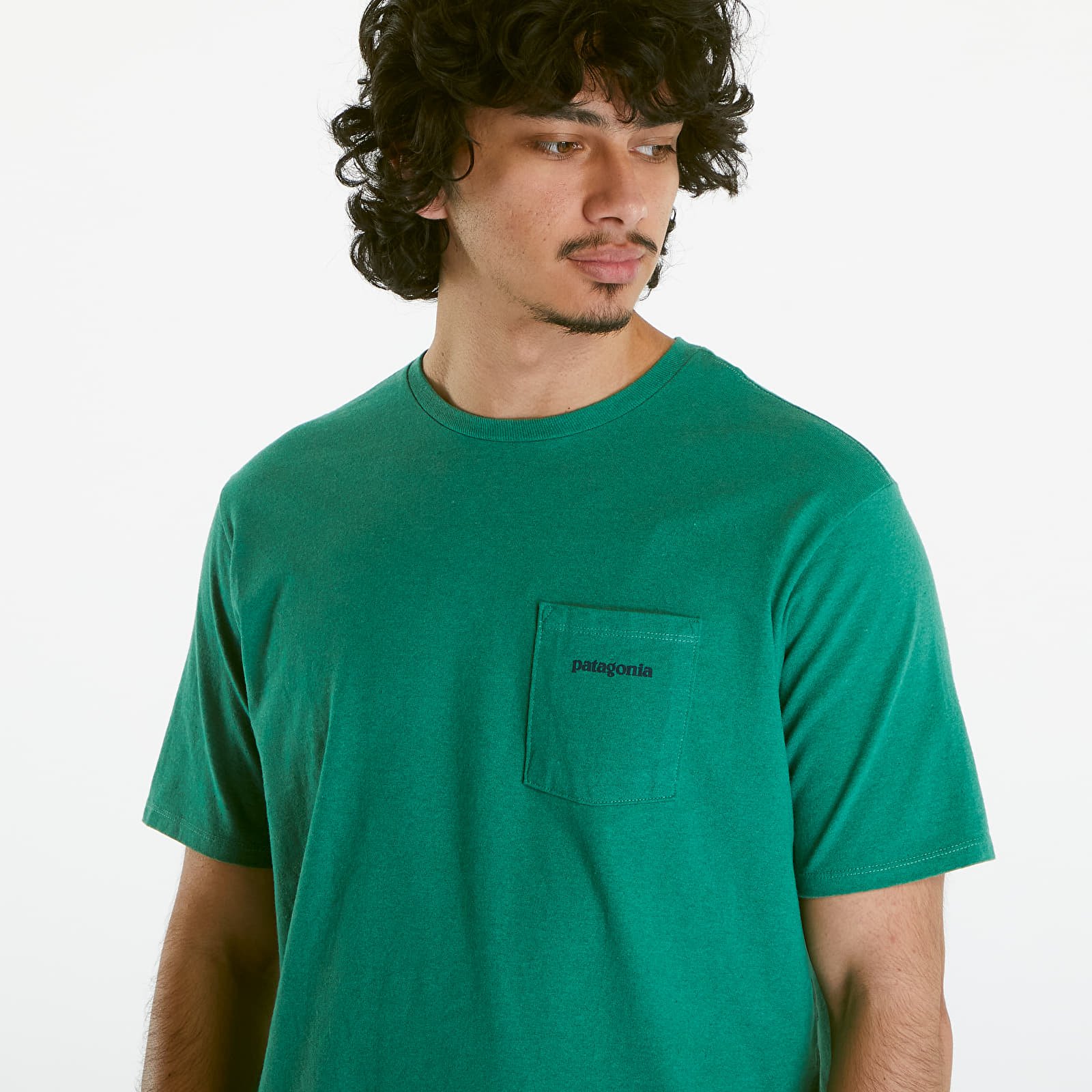 Patagonia t shirt green new arrivals