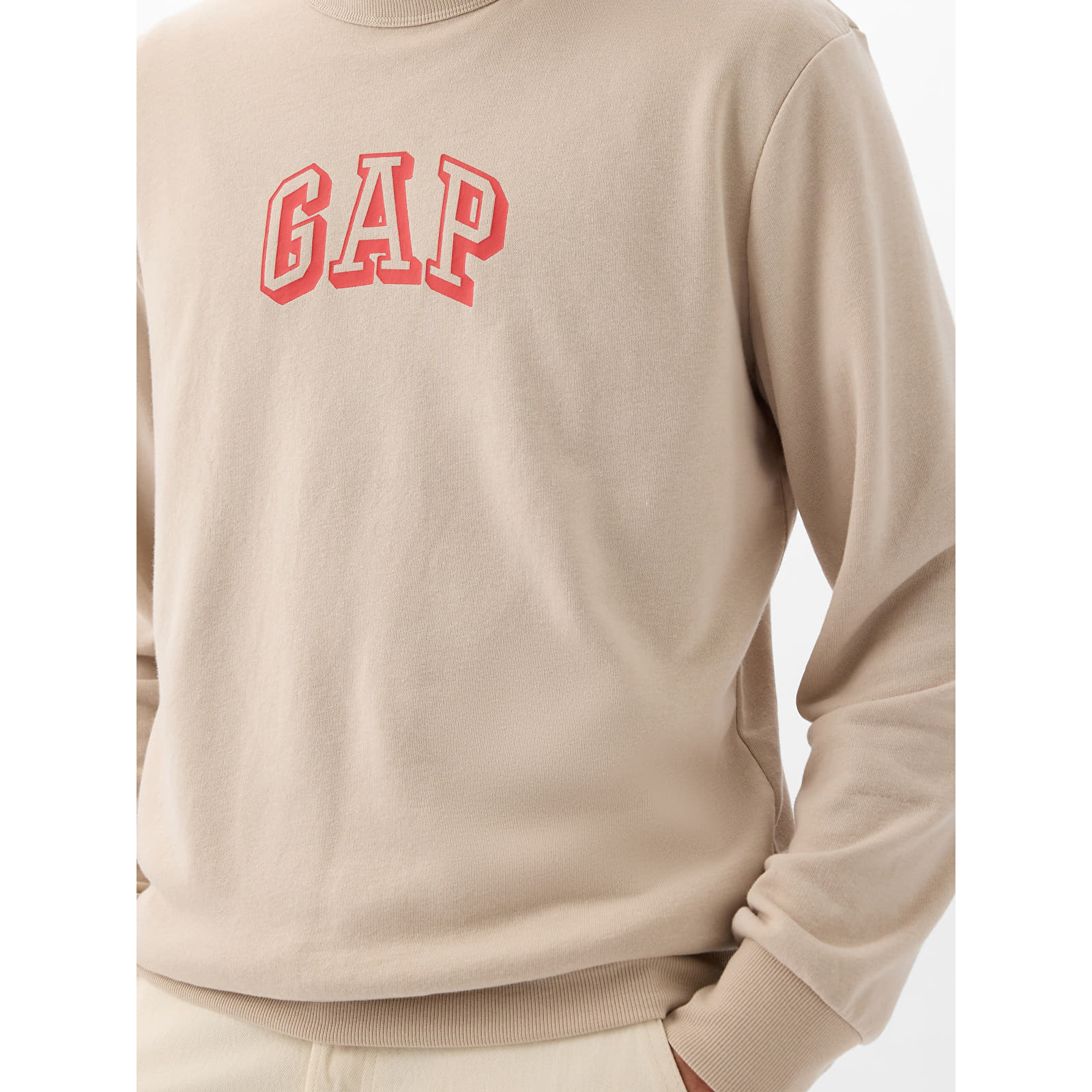 Mikiny GAP Logo Crewneck Sweatshirt Bedrock 291