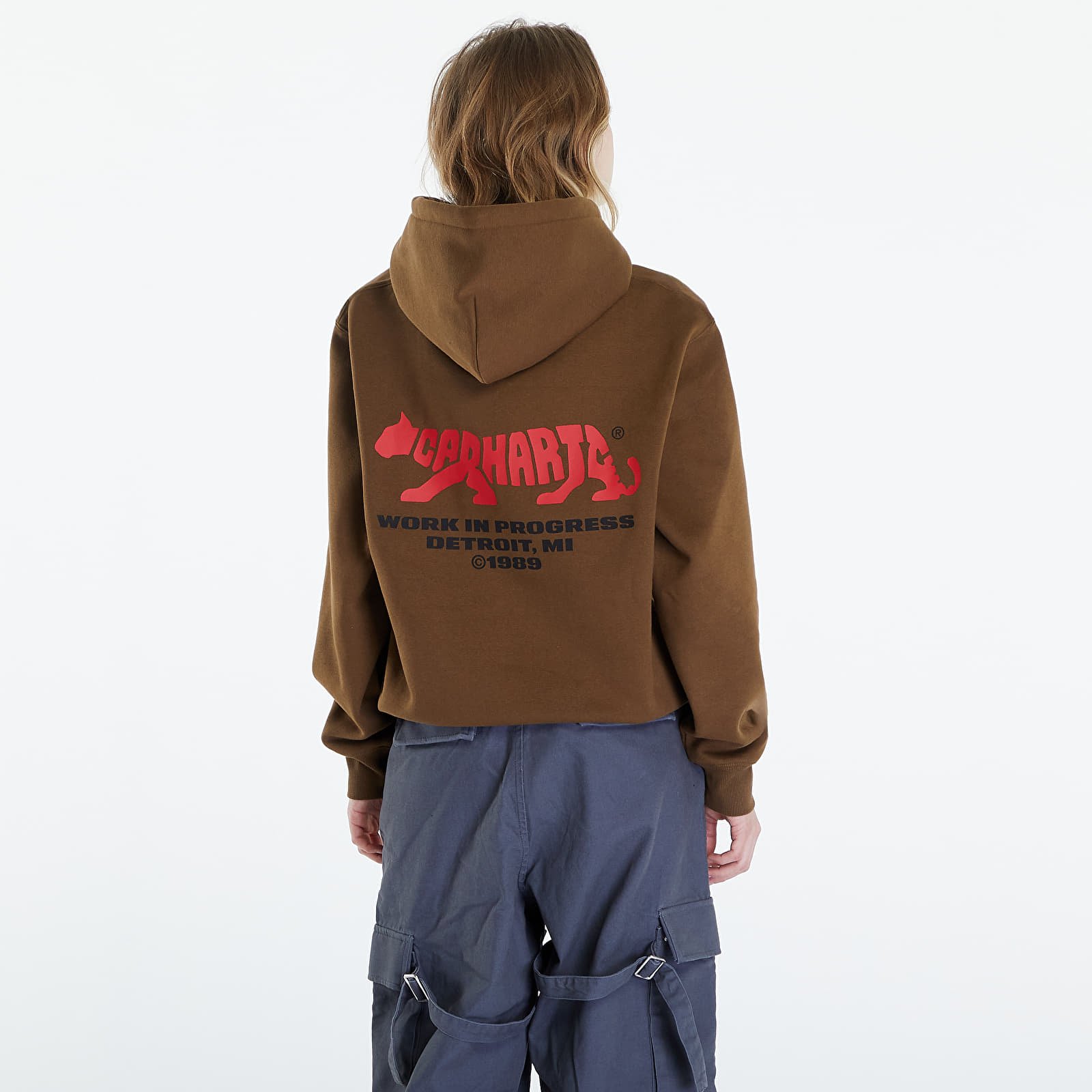 Мужские худи Carhartt WIP Rocky Script Hoodie UNISEX Lumber