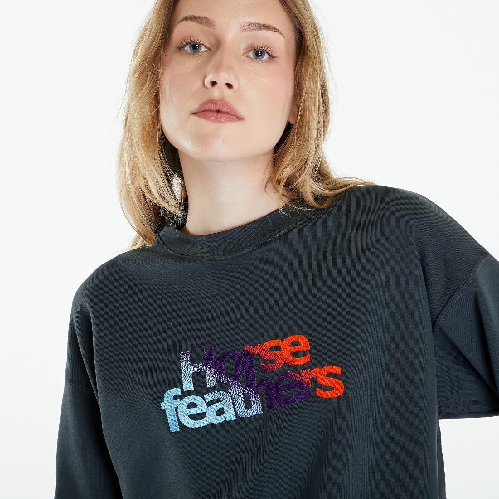Moletons e blusas de moletom Horsefeathers Haley Sweatshirt Gray