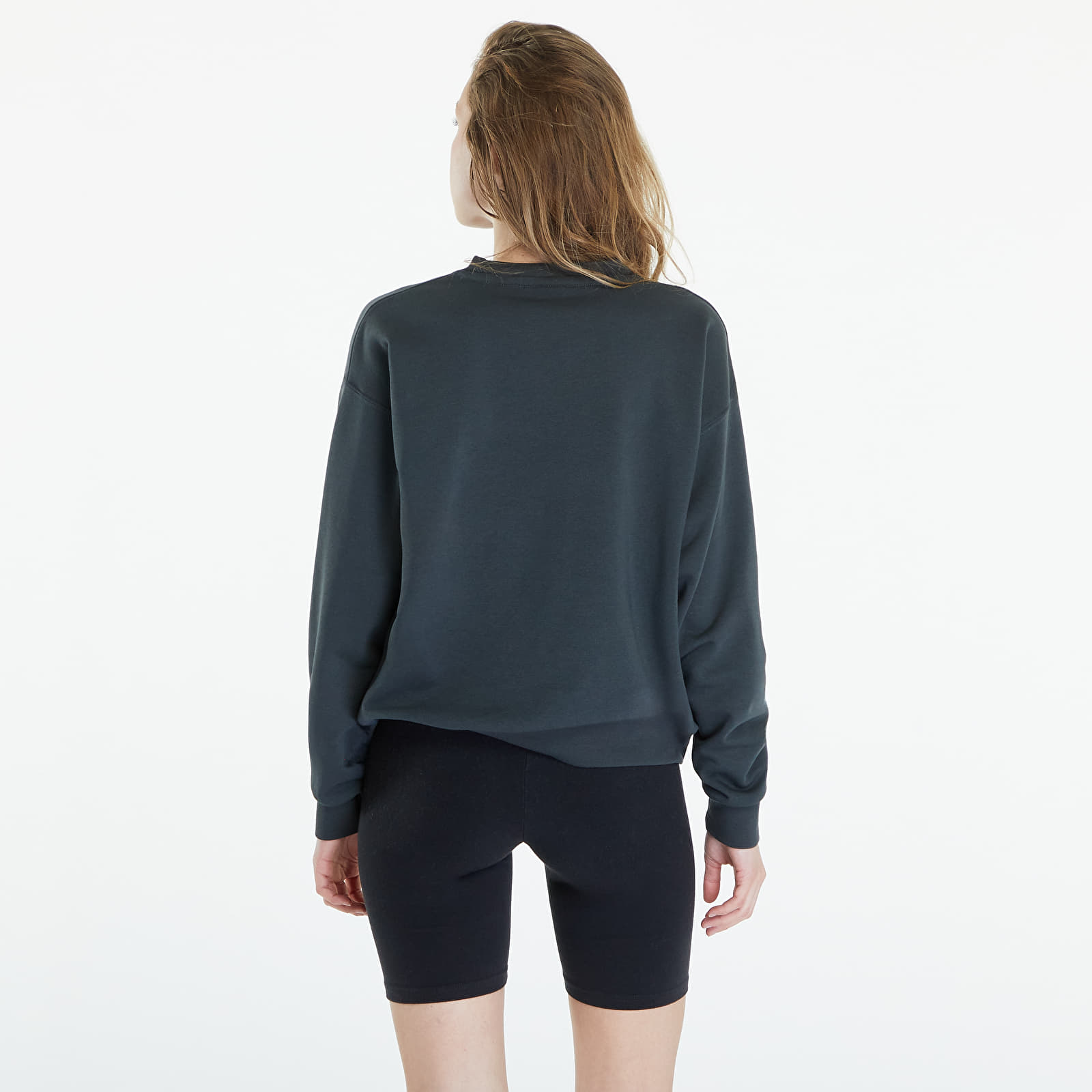Moletons e blusas de moletom Horsefeathers Haley Sweatshirt Gray