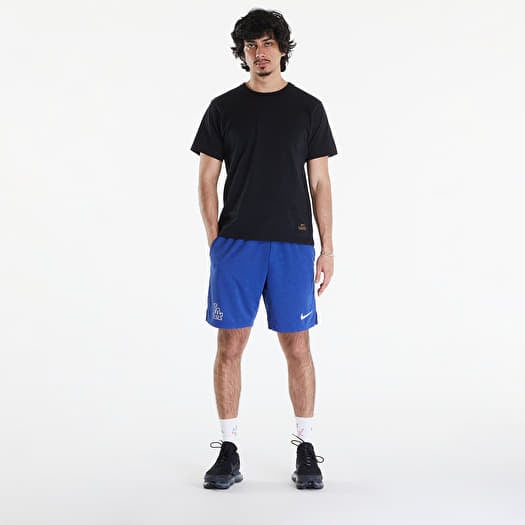 Royal blue nike shorts mens hot sale