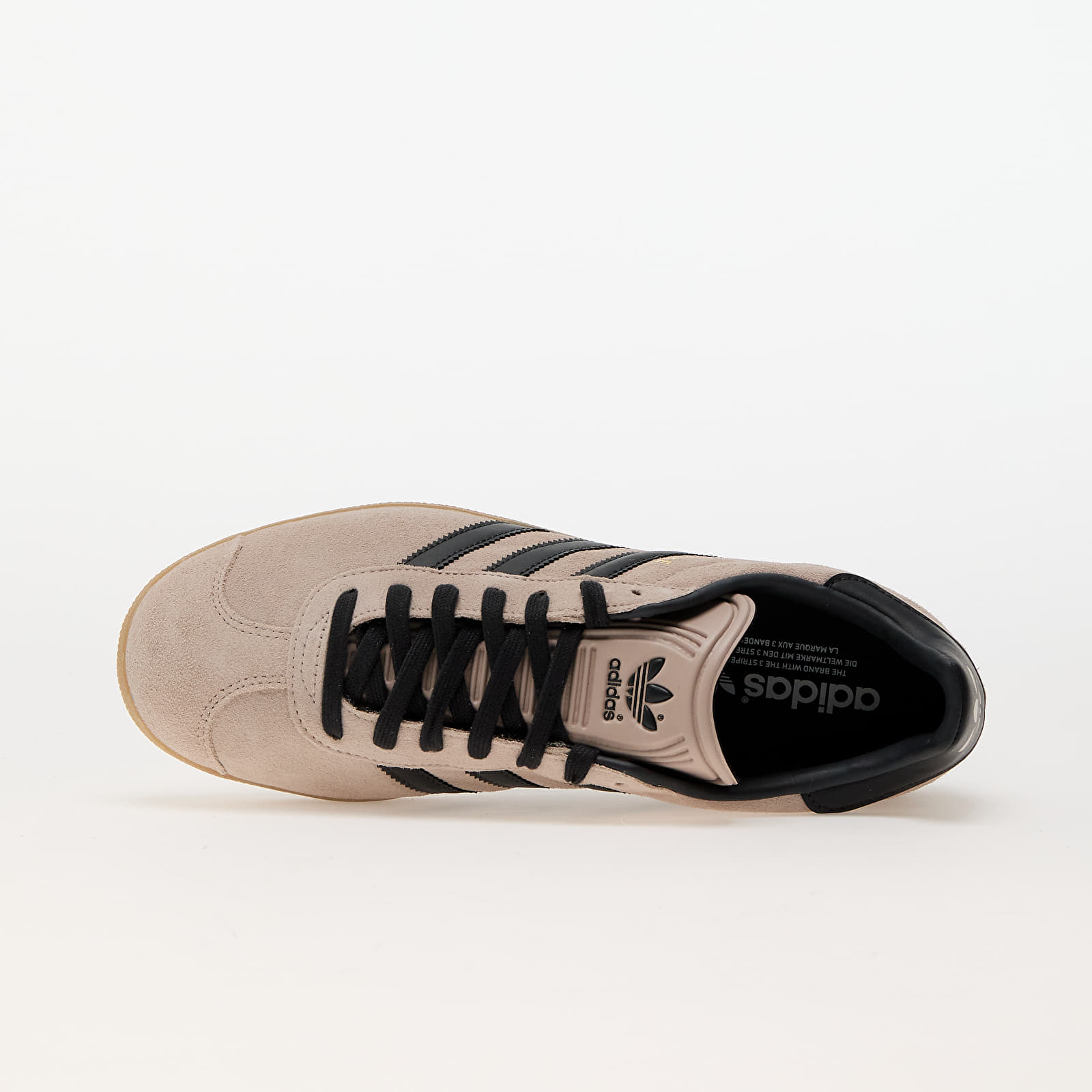 Herensneakers en -schoenen adidas Gazelle Wonder Taupe/ Night Indigo/ Gum