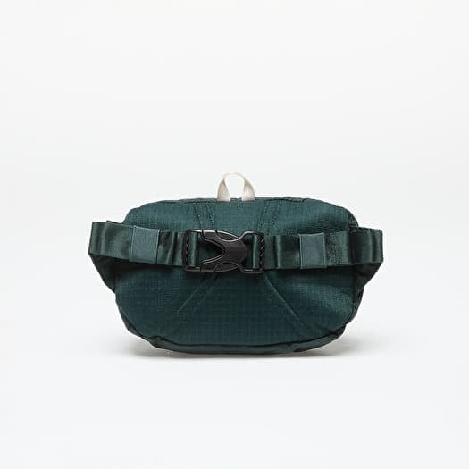 Patagonia Ultralight Black Hole Mini Hip Pack Nouveau Green | Queens