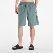 Carhartt WIP Brame Swim Trunks Park/ Chervil
