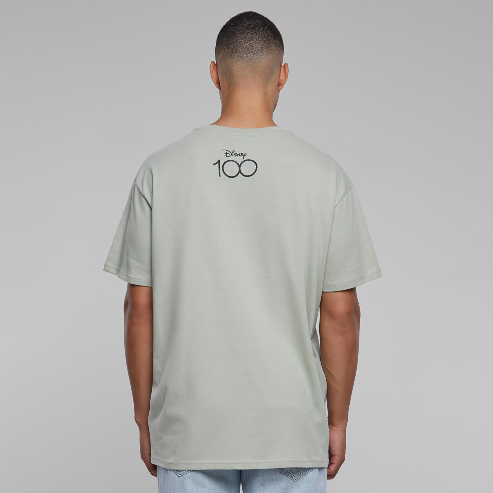 Футболки Urban Classics Disney 100 Peter Pan Faith and Trust Oversize Tee Soft Salvia