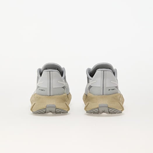 Men s sneakers and shoes Reebok Floatzig 1 Grey1 Grey2 Classic Beige Queens