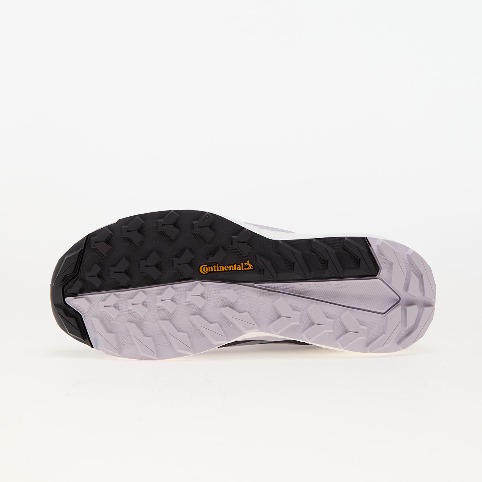 Sneakers und Schuhe für Frauen adidas Terrex Free Hiker 2 Gtx W Prlofi/ Silver Dawn/ Aurbla