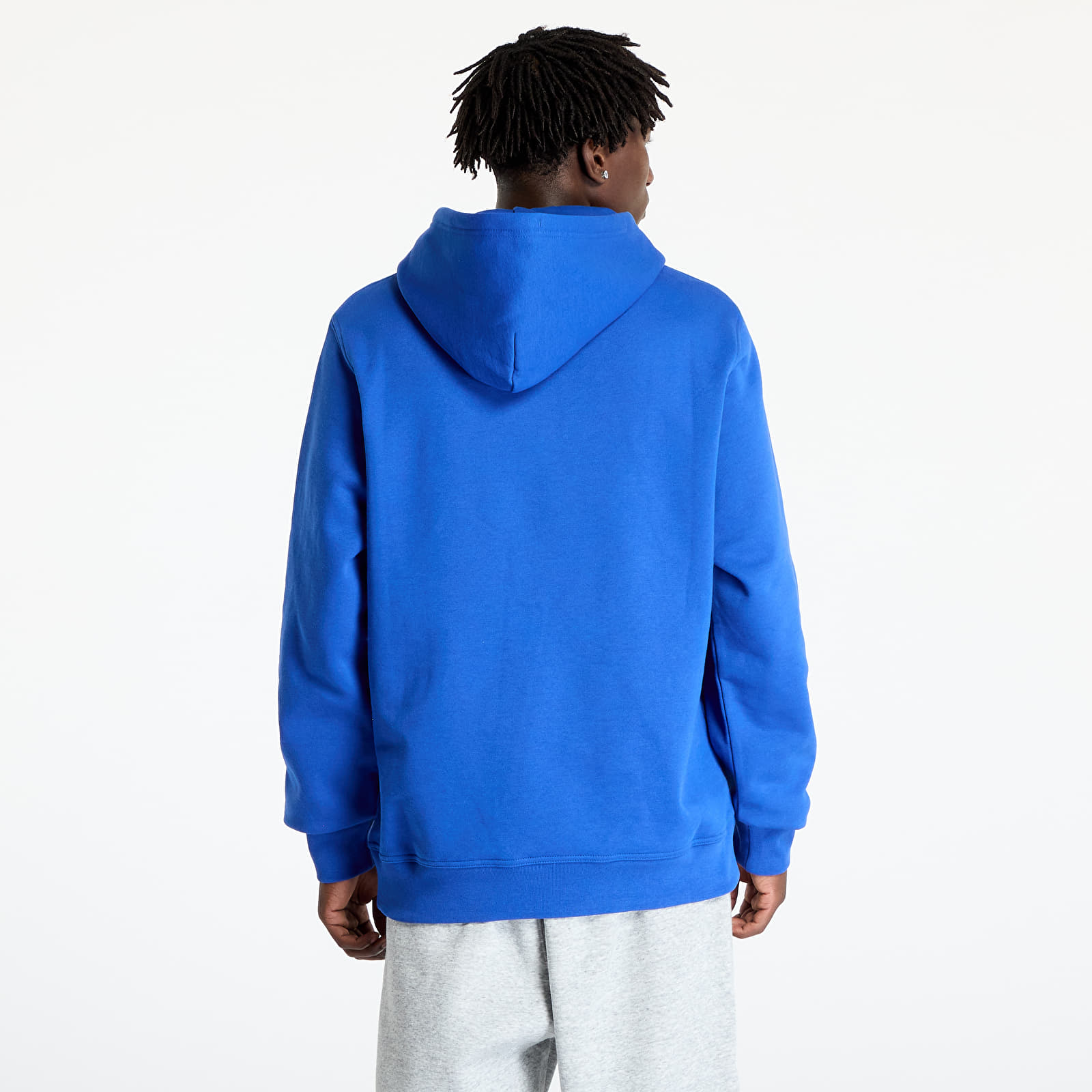 Sweatshirts Champion Hooded Sweatshirt Blue