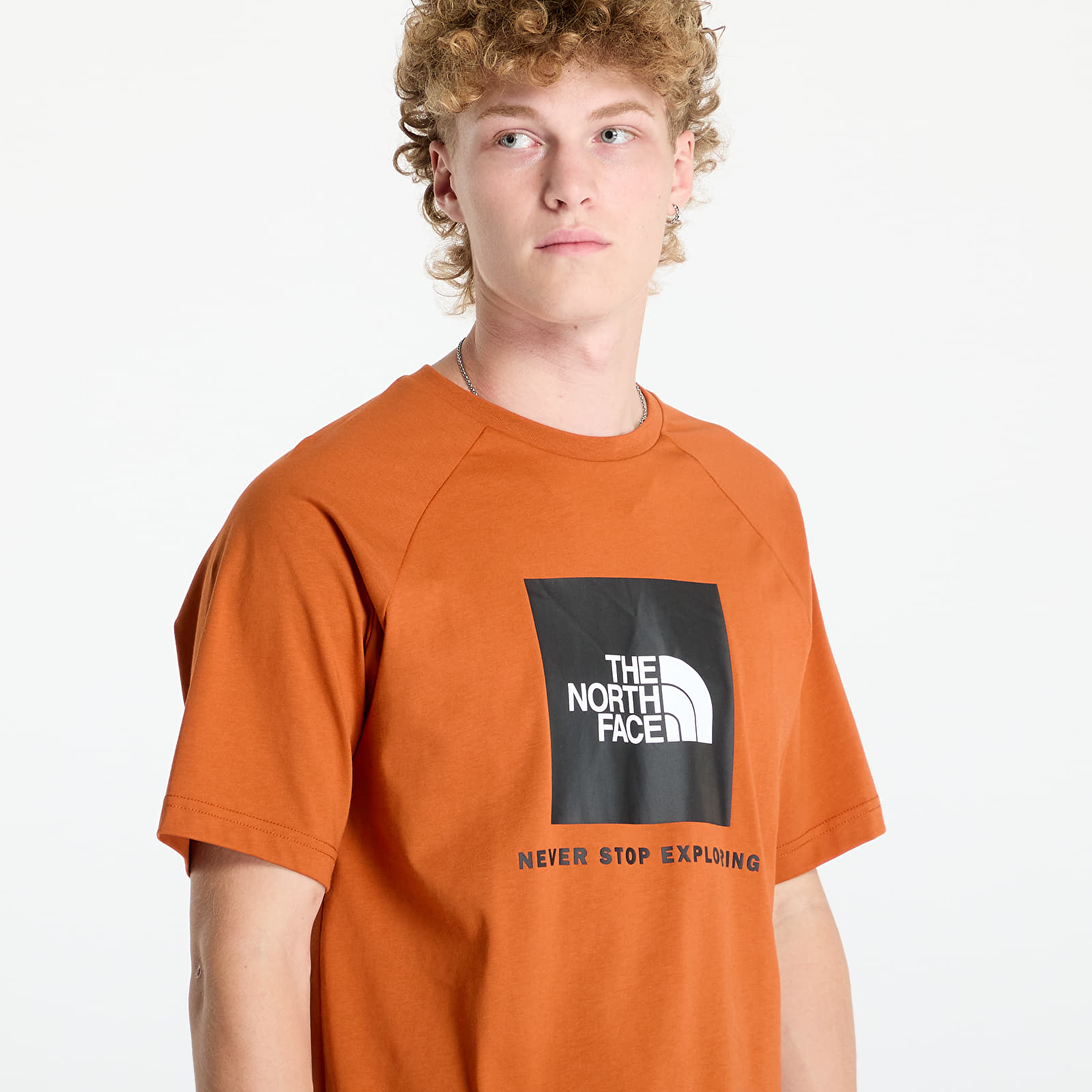Camisetas hombre The North Face M S/S Raglan Redbox Tee Earthen Copper