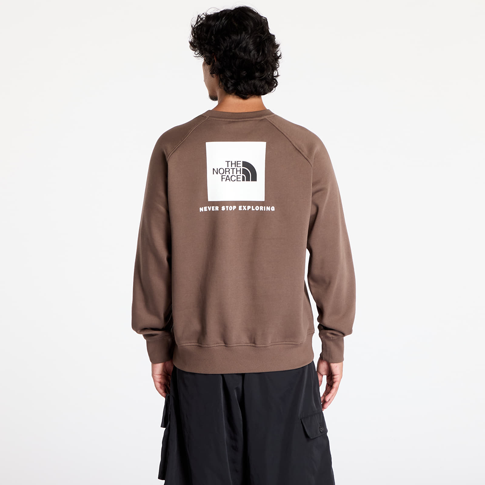 Férfi pulóverek The North Face M Raglan Box Nse Crew Smokey Brown
