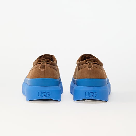 Men s sneakers and shoes UGG M Tasman Weather Hybrid CBG Queens