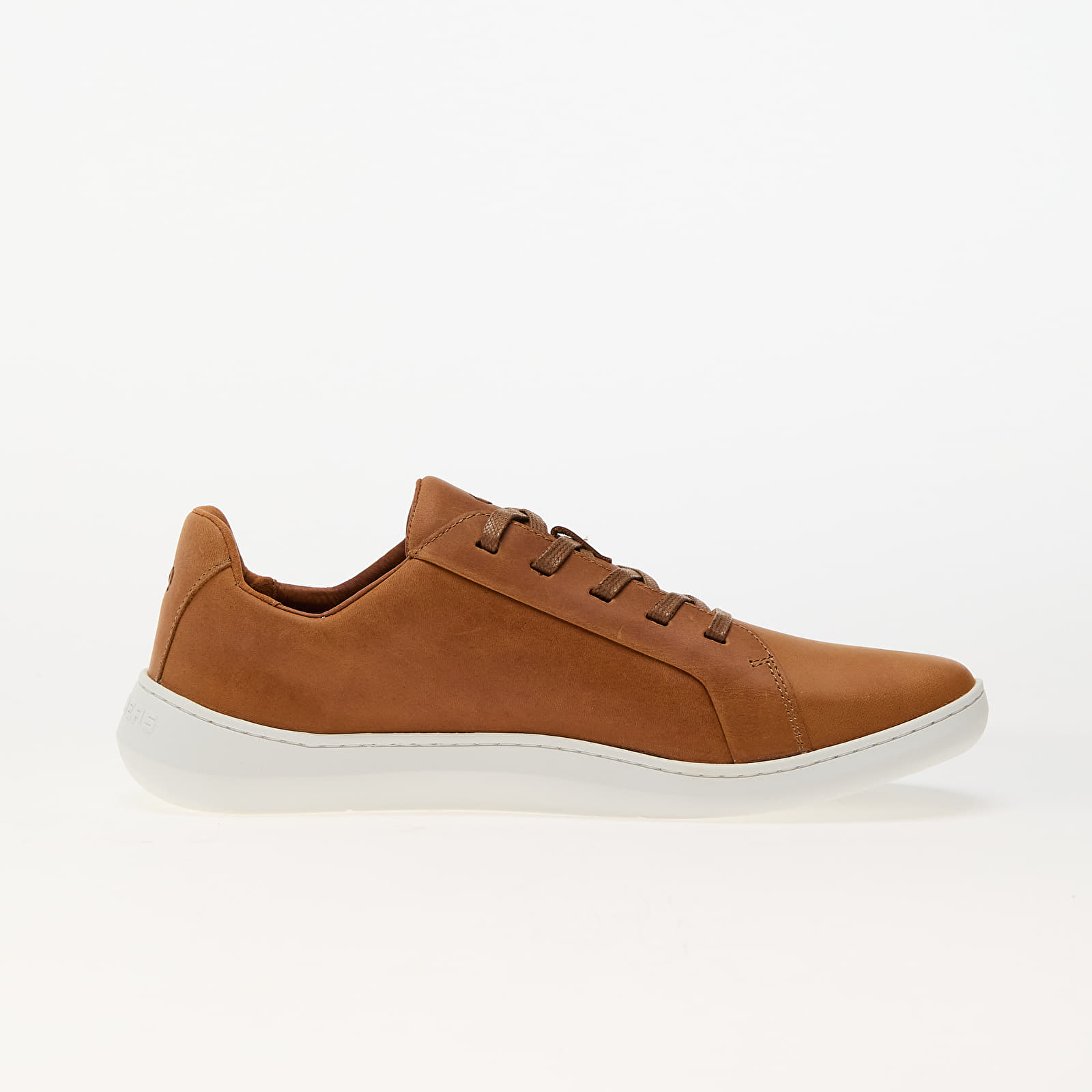 Scarpe Skinners Sneakers Moonwalker leather Brown