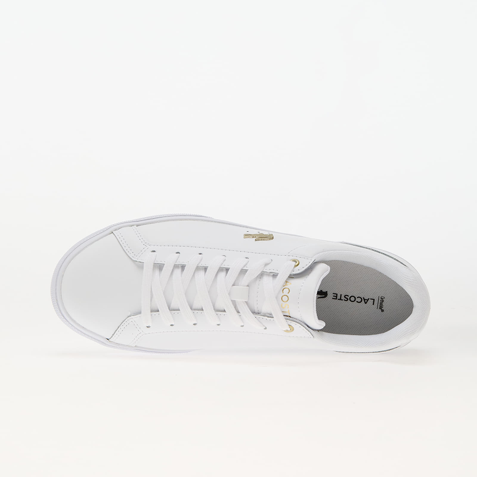 Womens lacoste lerond cheap