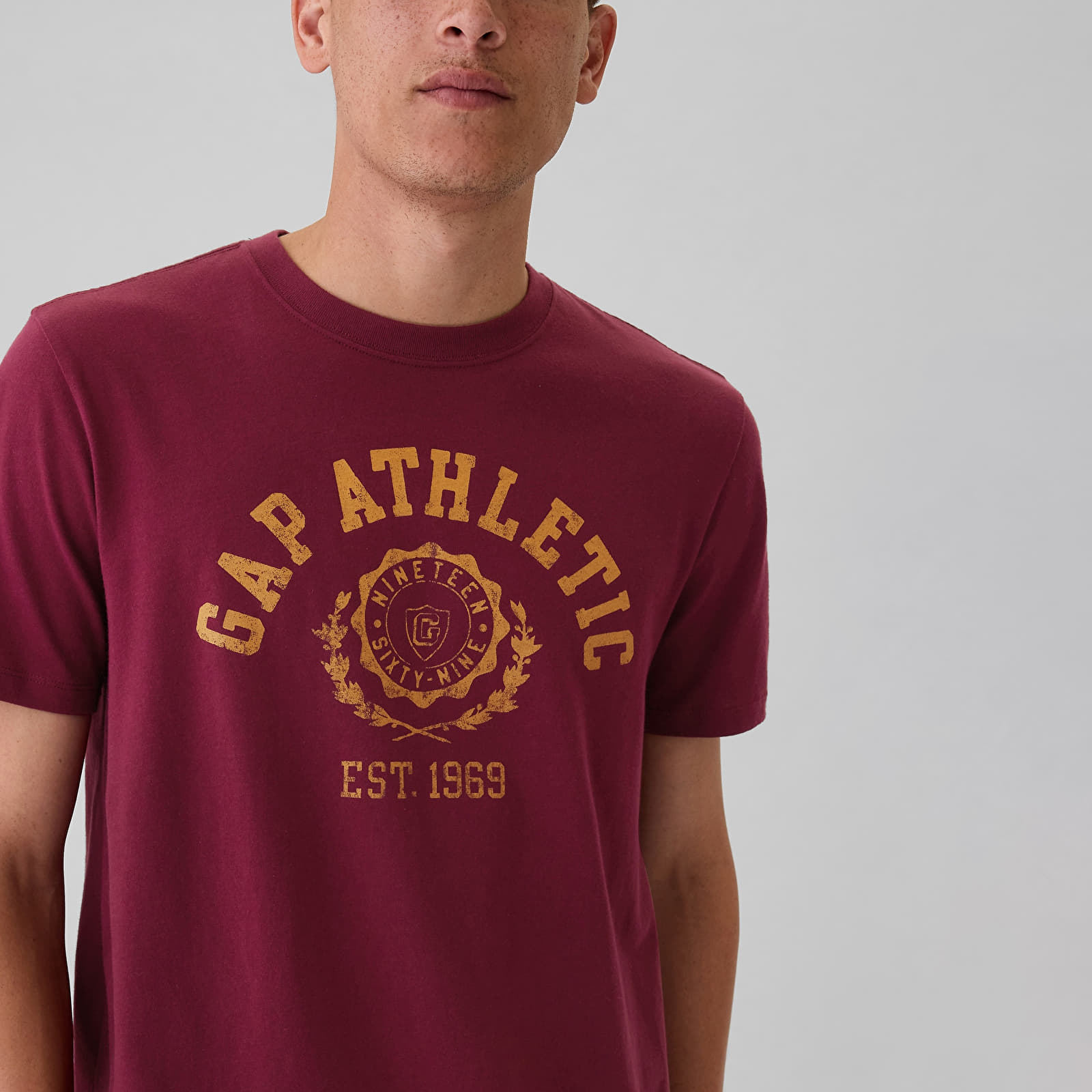 Camisetas hombre GAP Logo Tee Red Delicious