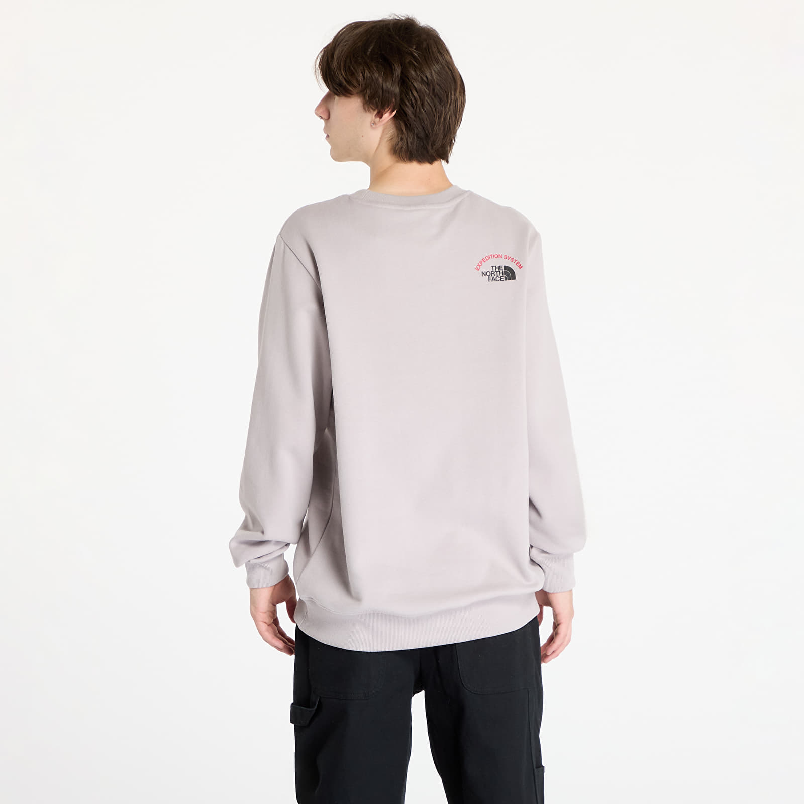 Moške majice The North Face Crew Expedition System Moonstone Grey