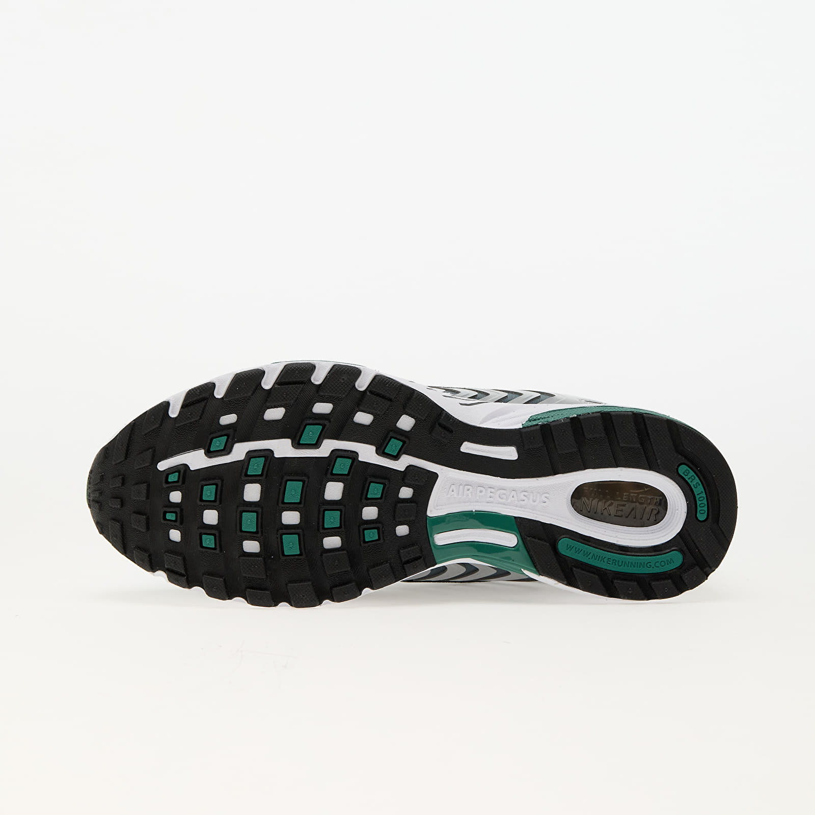 Meeste tossud ja kingad Nike Air Pegasus 2005 Metallic Silver/ Bicoastal-Black-White