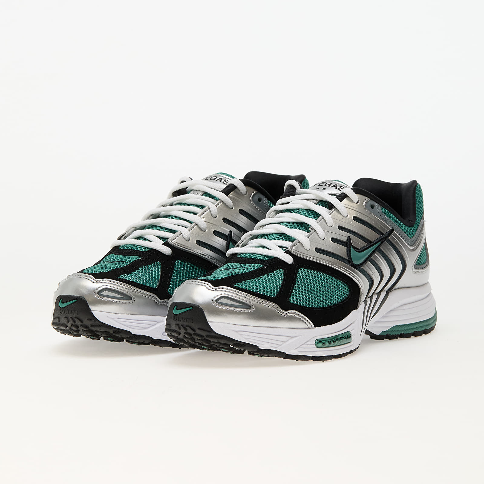 Meeste tossud ja kingad Nike Air Pegasus 2005 Metallic Silver/ Bicoastal-Black-White