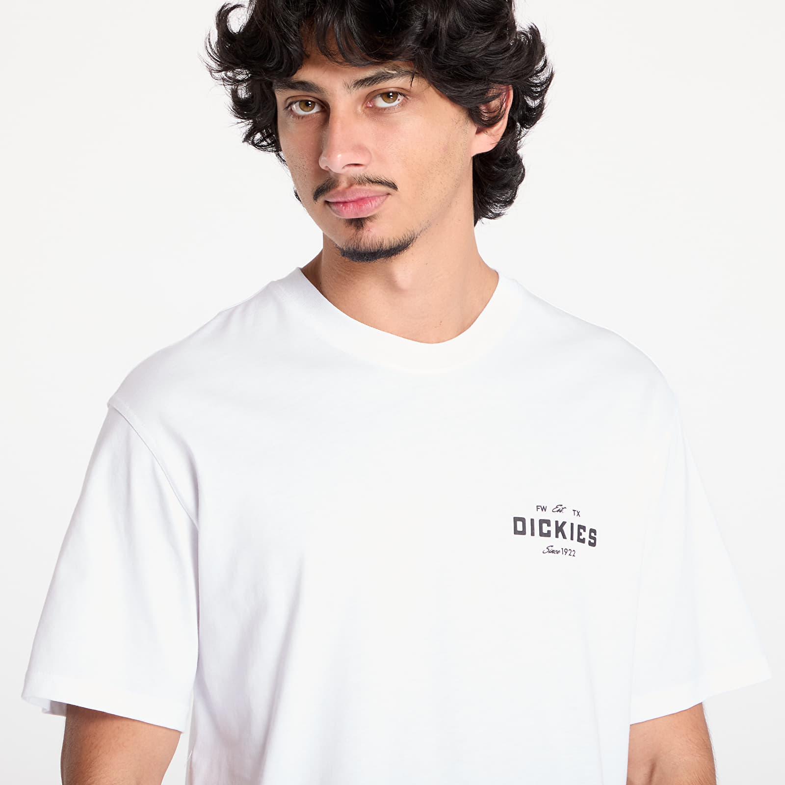 Koszulki męskie Dickies Emblem Short Sleeve Tee White