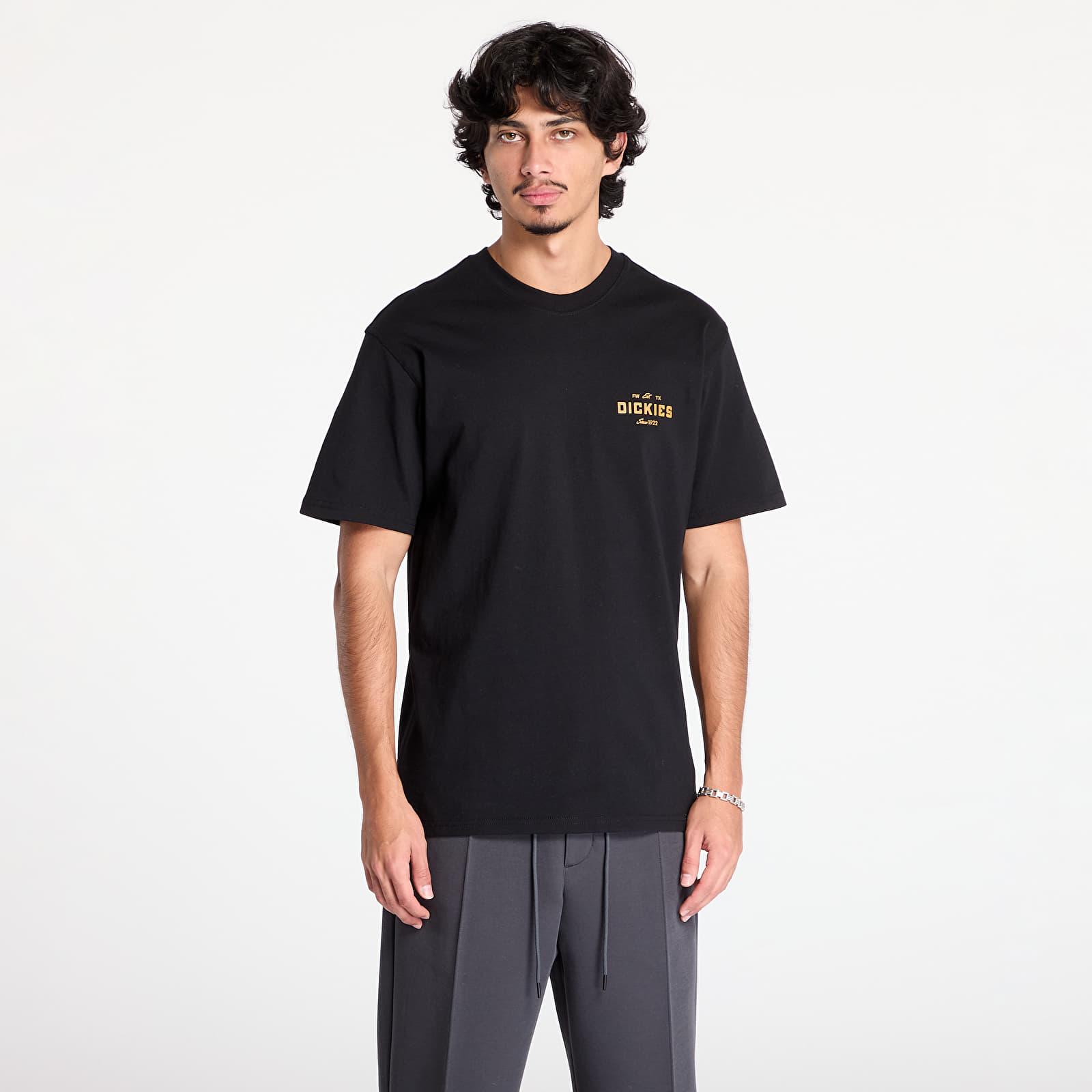Мужские футболки Dickies Emblem Short Sleeve Tee Black