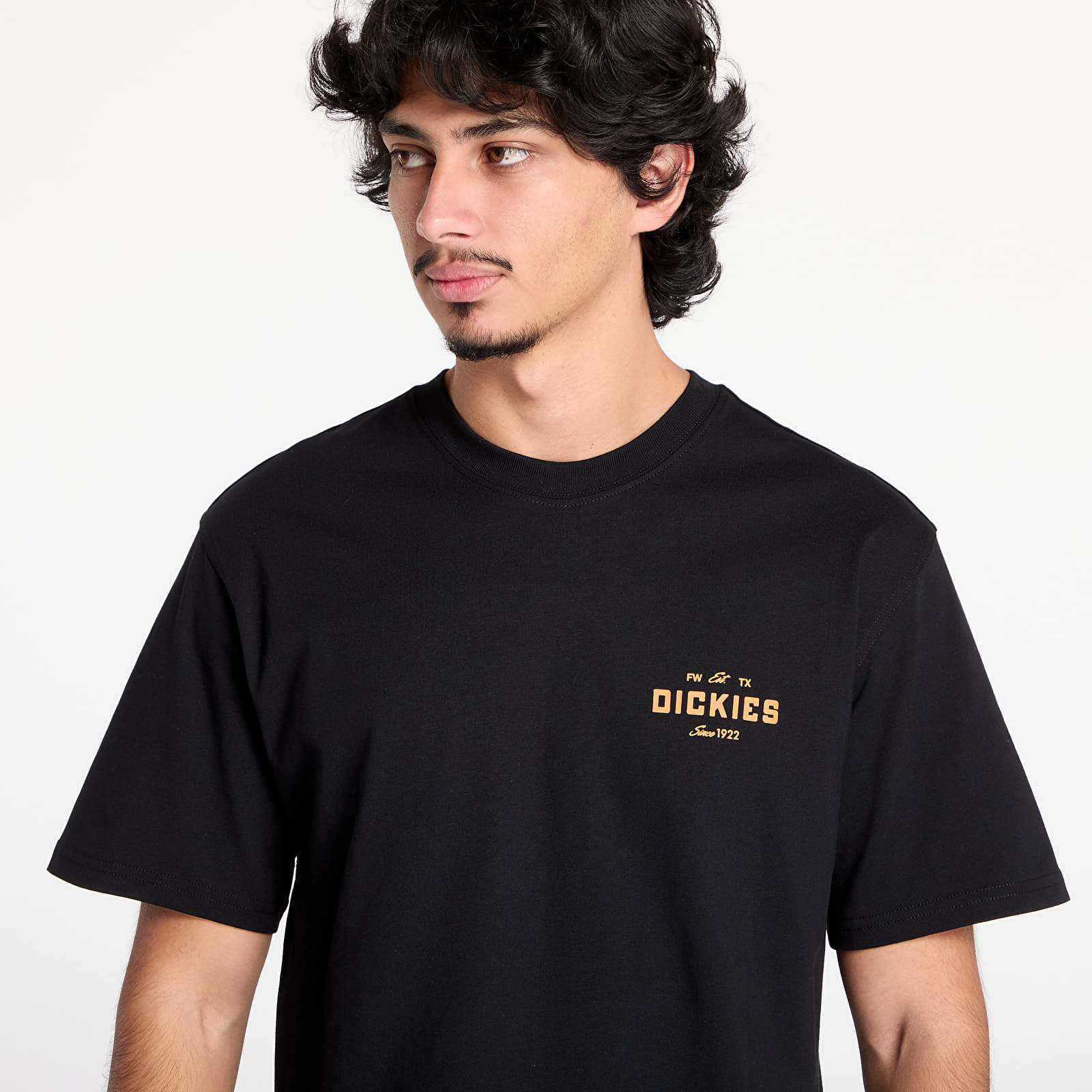 Мужские футболки Dickies Emblem Short Sleeve Tee Black