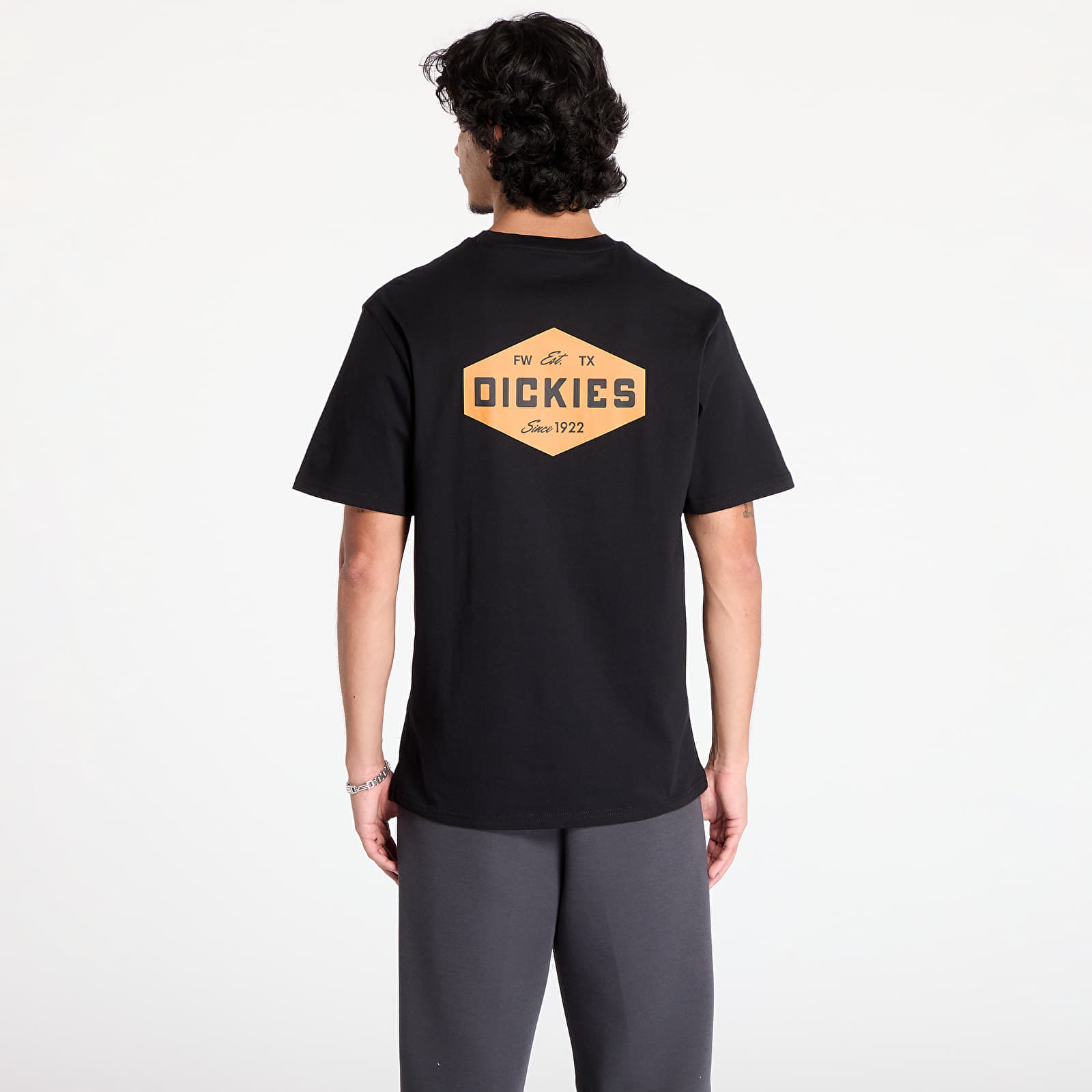 T-shirt Emblem Short Sleeve Tee S - Dickies - Modalova