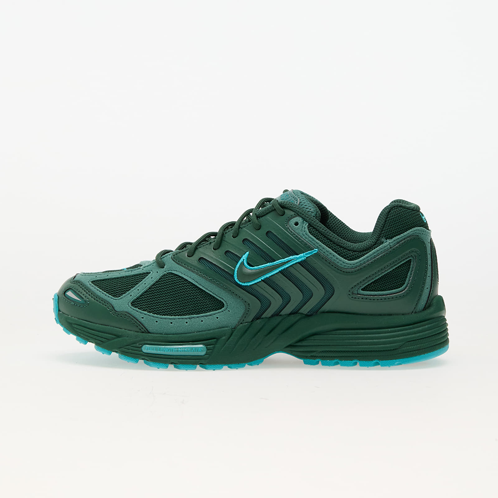 Muške tenisice Nike Air Pegasus 2005 Fir/ Fir-Bicoastal-Dusty Cactus