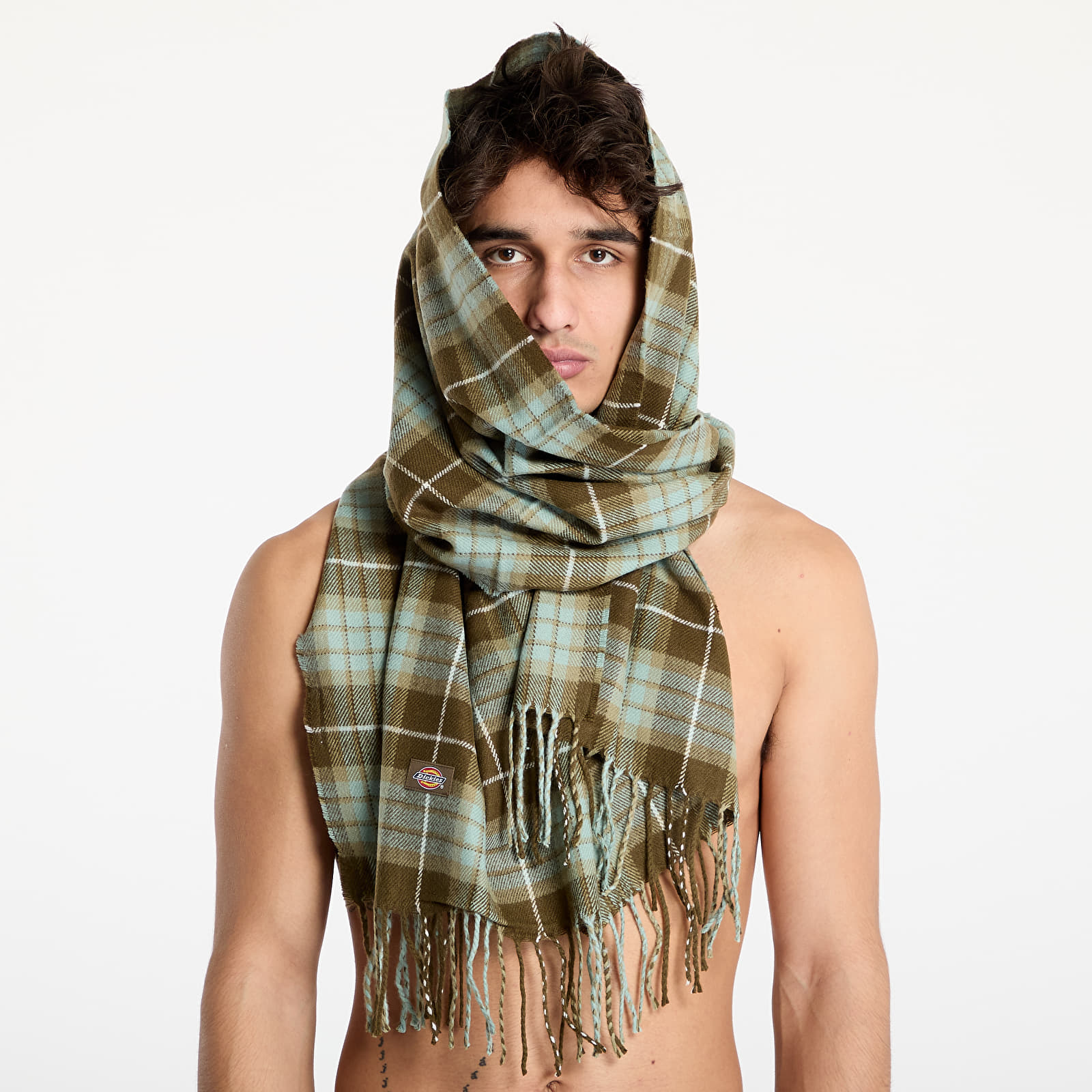 Bufandas Dickies Stevensville Scarf Green