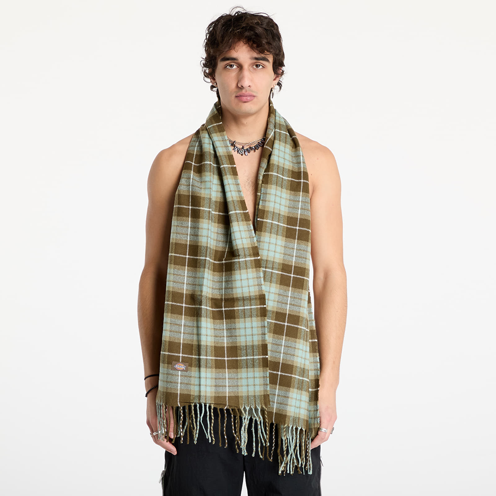 Bufandas Dickies Stevensville Scarf Green