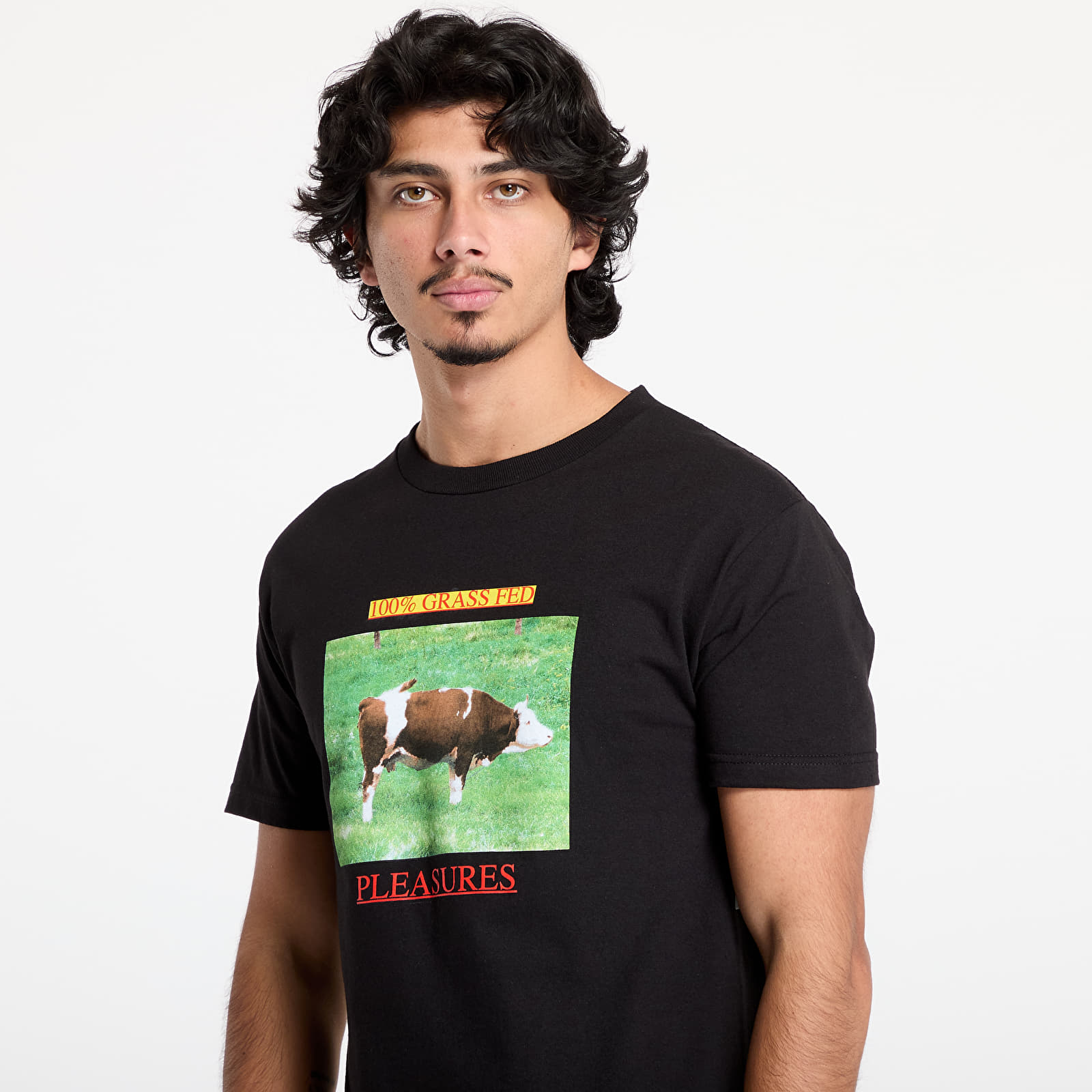 T-Shirts PLEASURES Grass Fed T-Shirt Black