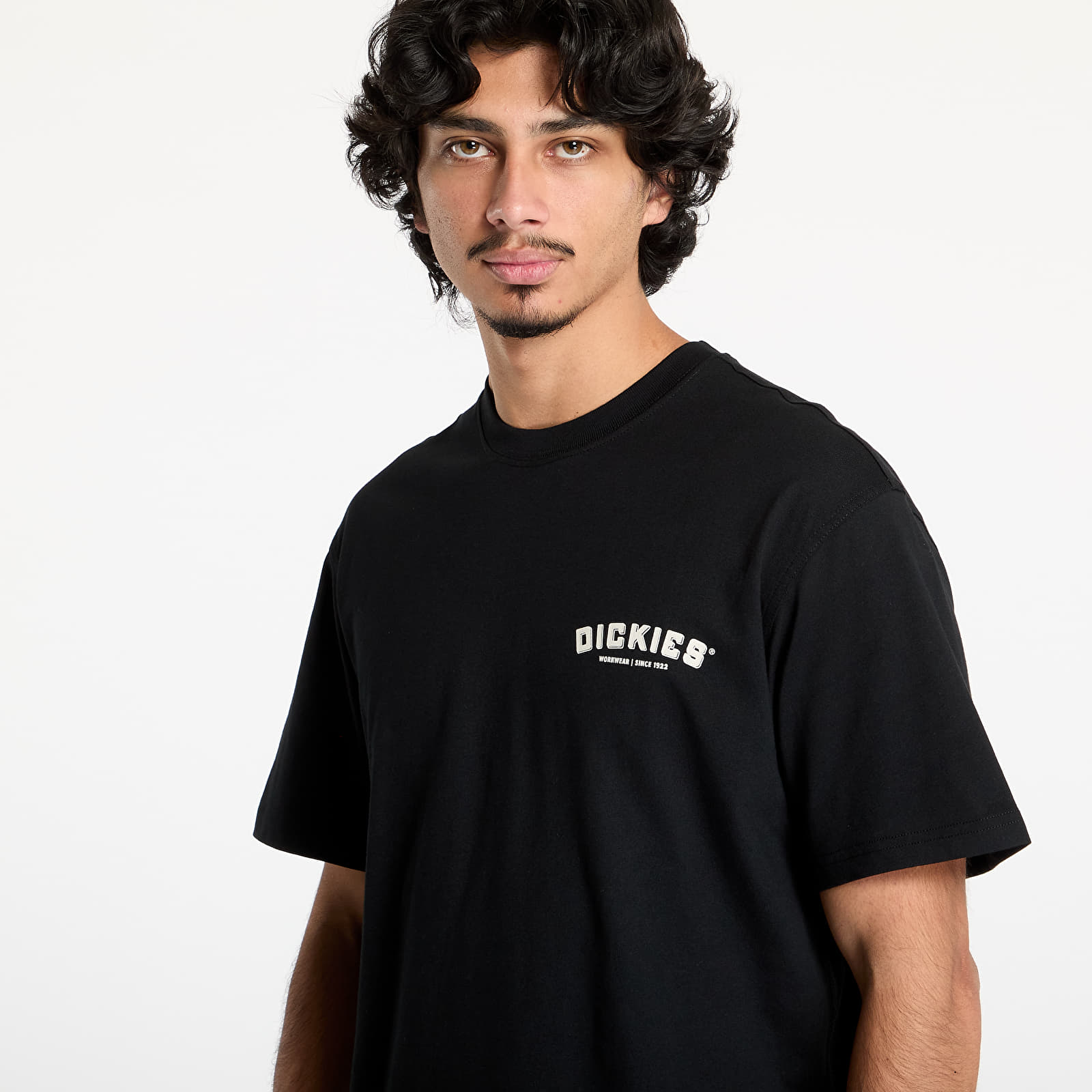 Pánská trička Dickies Dickies Builder Short Sleeve Tee Black