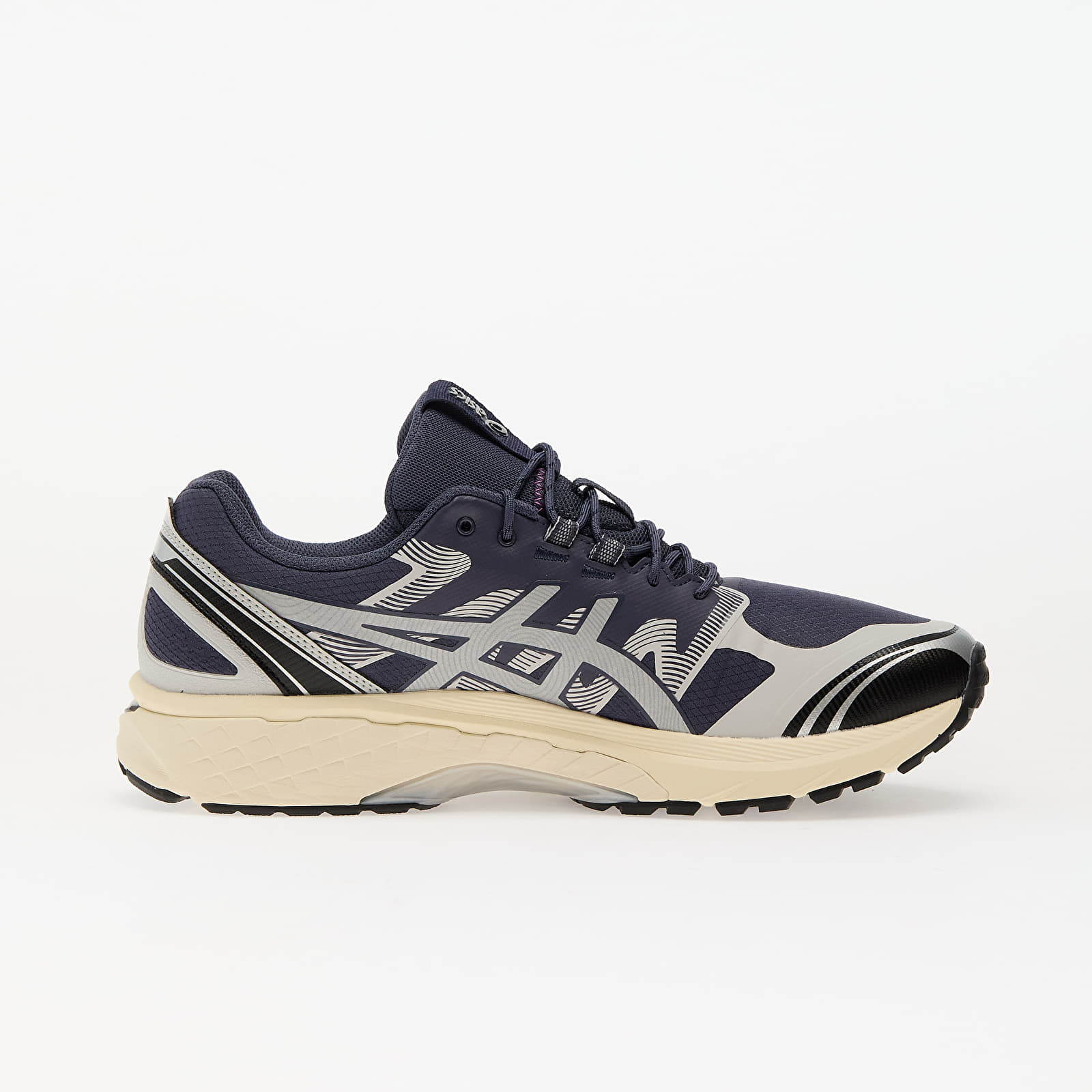 Чоловіче взуття Asics Gel-Terrain Indigo Fog/ Pure Silver