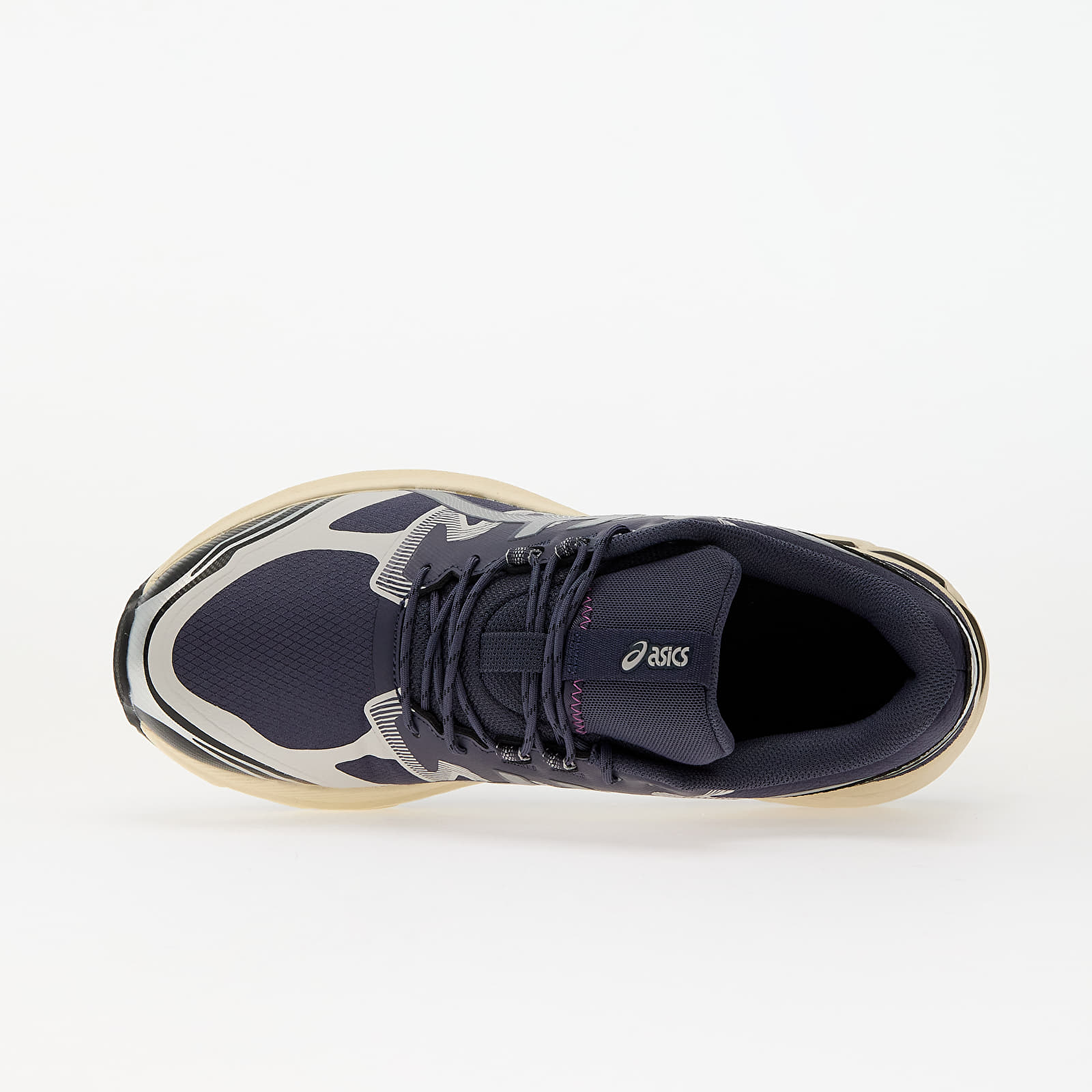 Чоловіче взуття Asics Gel-Terrain Indigo Fog/ Pure Silver