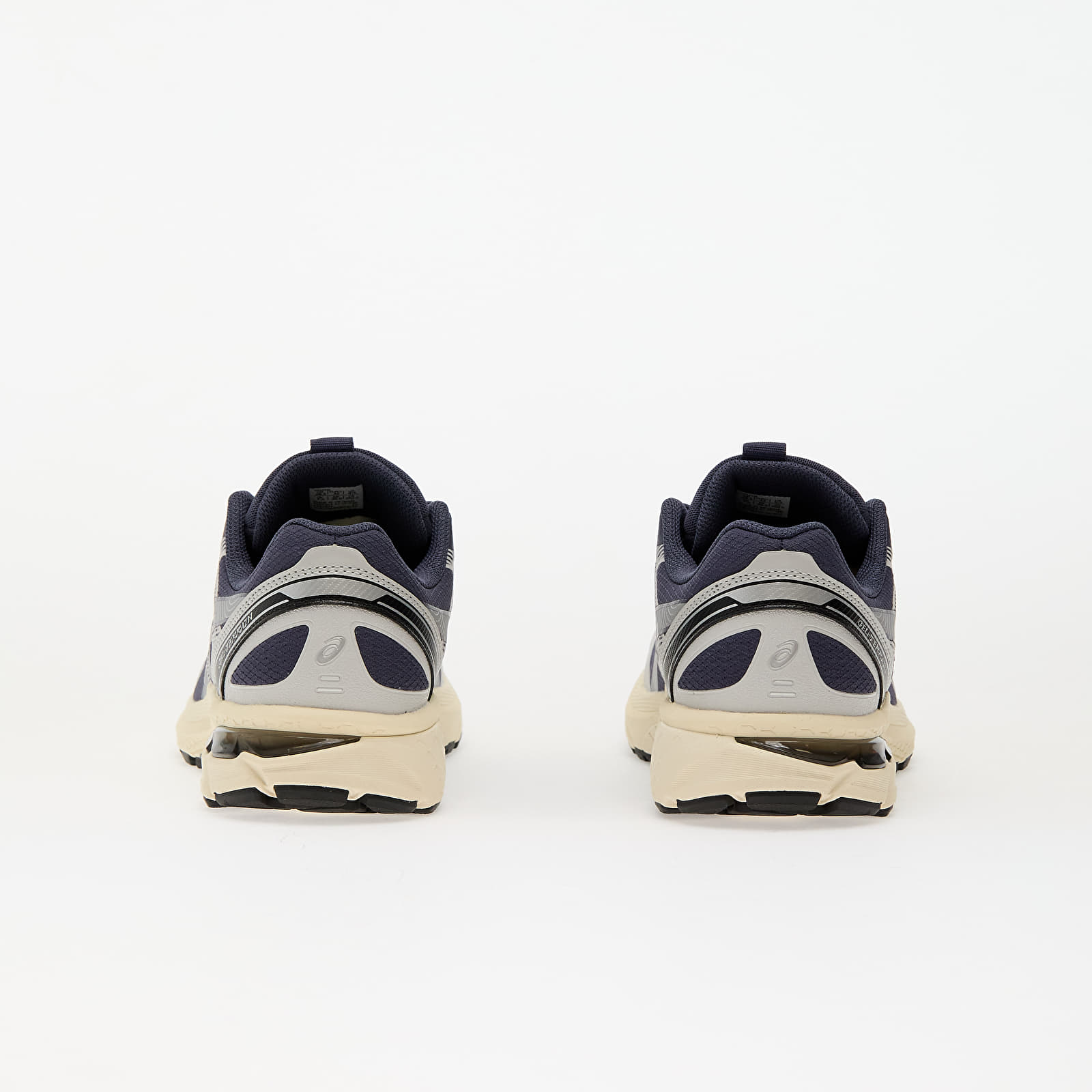 Чоловіче взуття Asics Gel-Terrain Indigo Fog/ Pure Silver