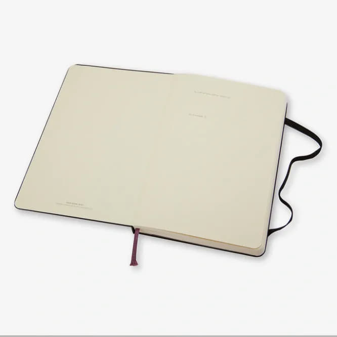 Diaries and notebooks Moleskine Zápisník Tvrdý Čistý L Černý