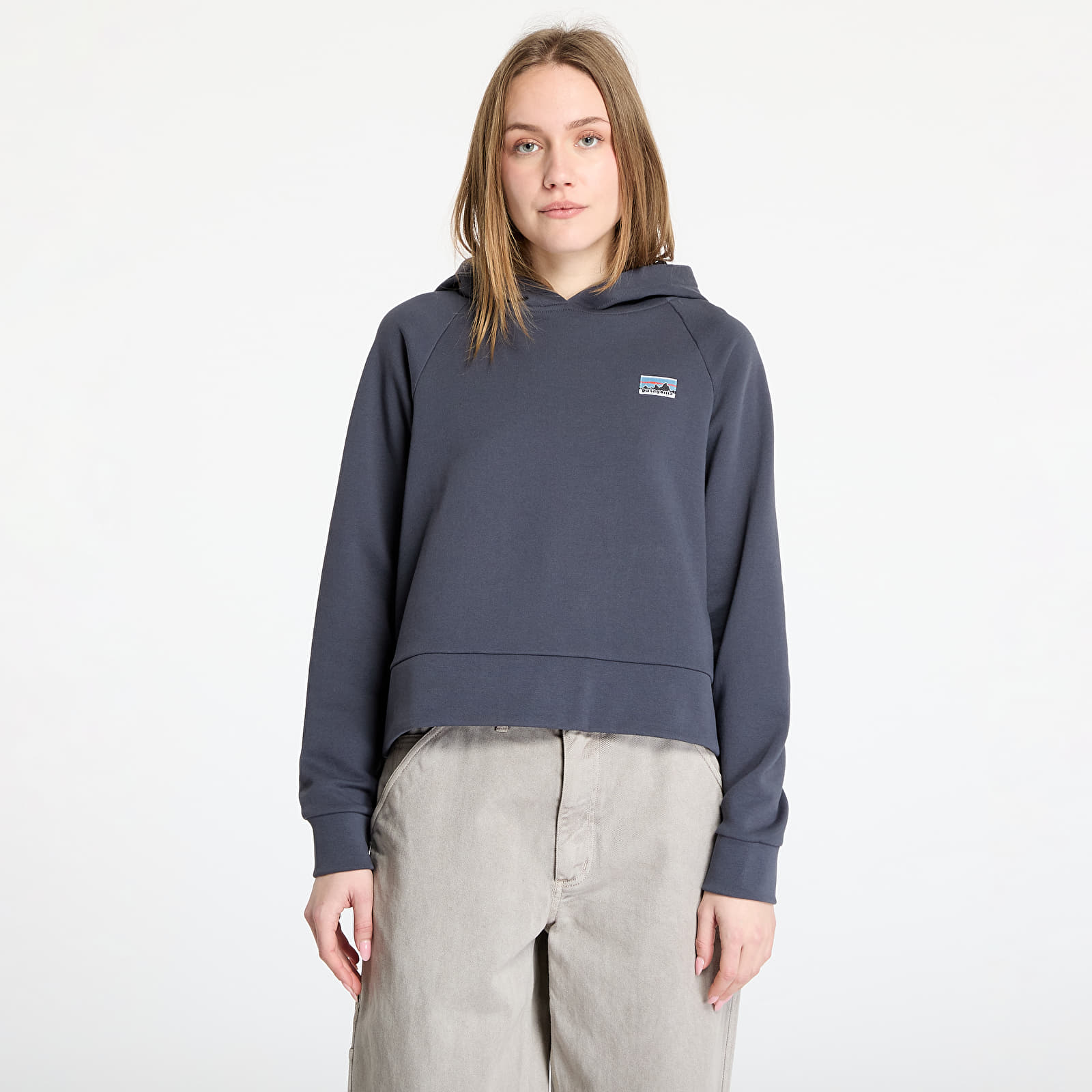 Kapuutsikud ja kampsunid Patagonia W's Regenerative Organic Certified Cotton Essential Hoody Smolder Blue