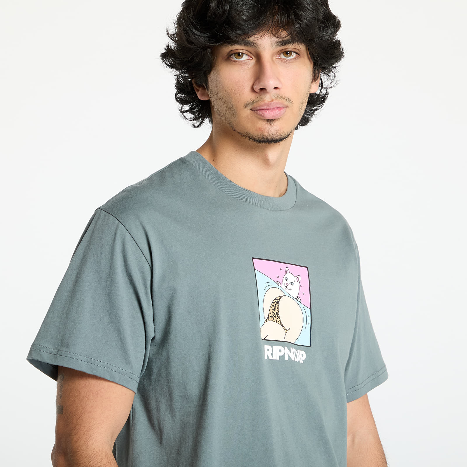 Koszulki męskie RIPNDIP Peaches And Nerm Tee Charcoal