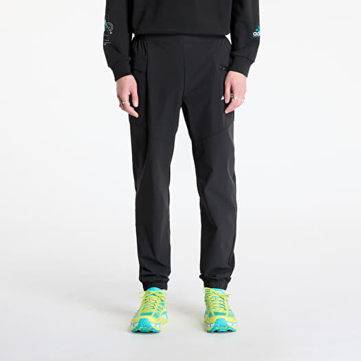 adidas terrex trousers mens