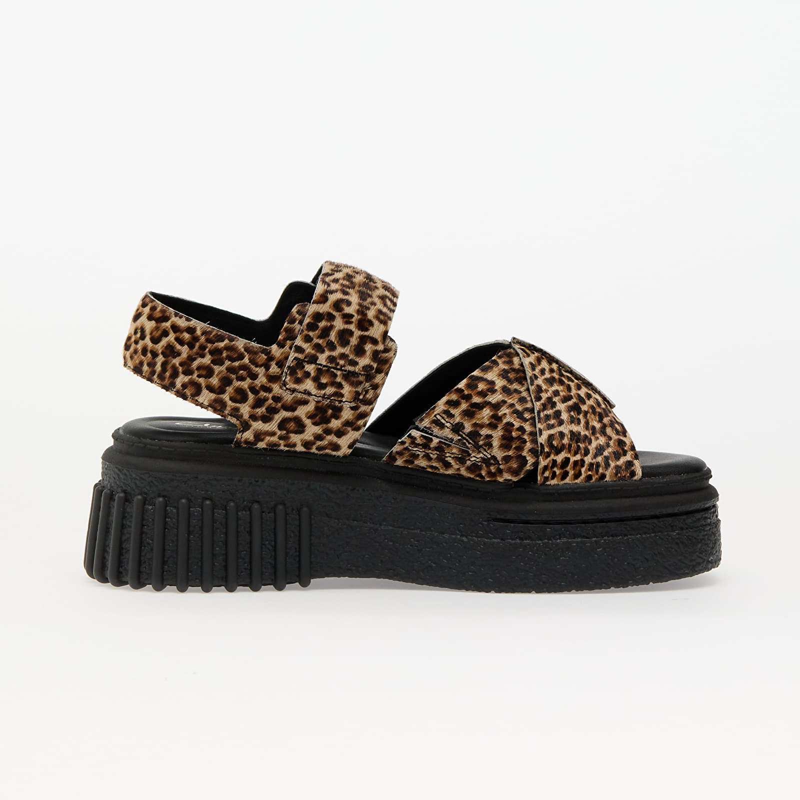 Ženske superge in čevlji Clarks Originals Evamar Wish Leopard Print
